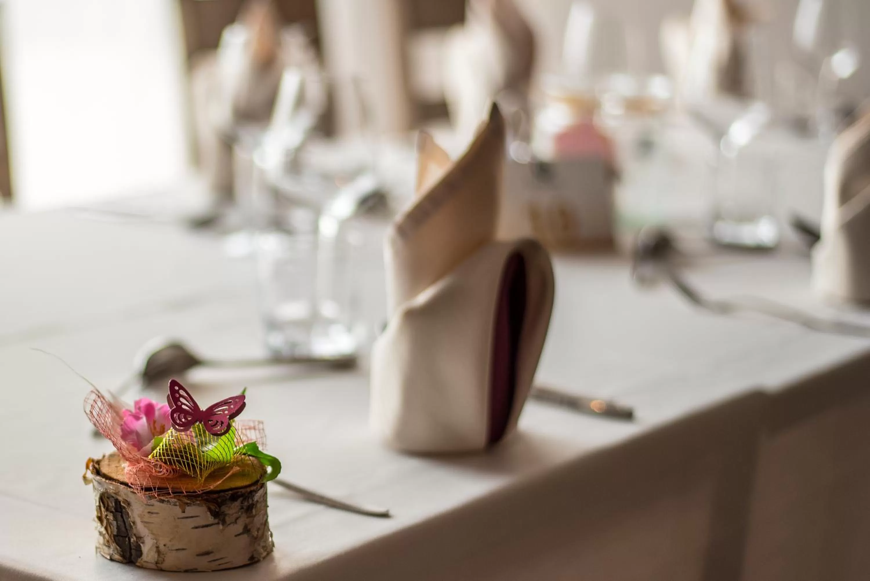 Restaurant/places to eat in Hotel Dolenjc