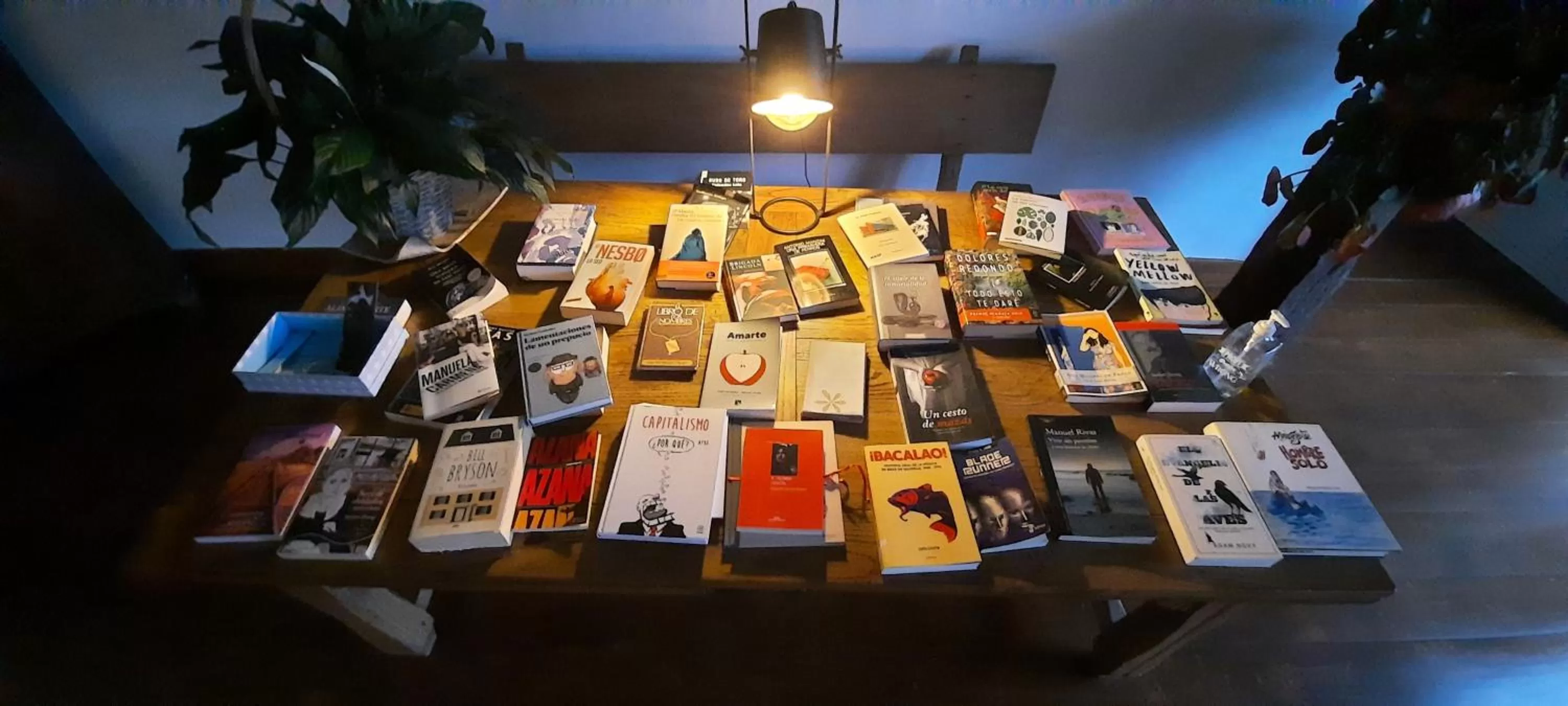 Library in Rectoral de Anllo