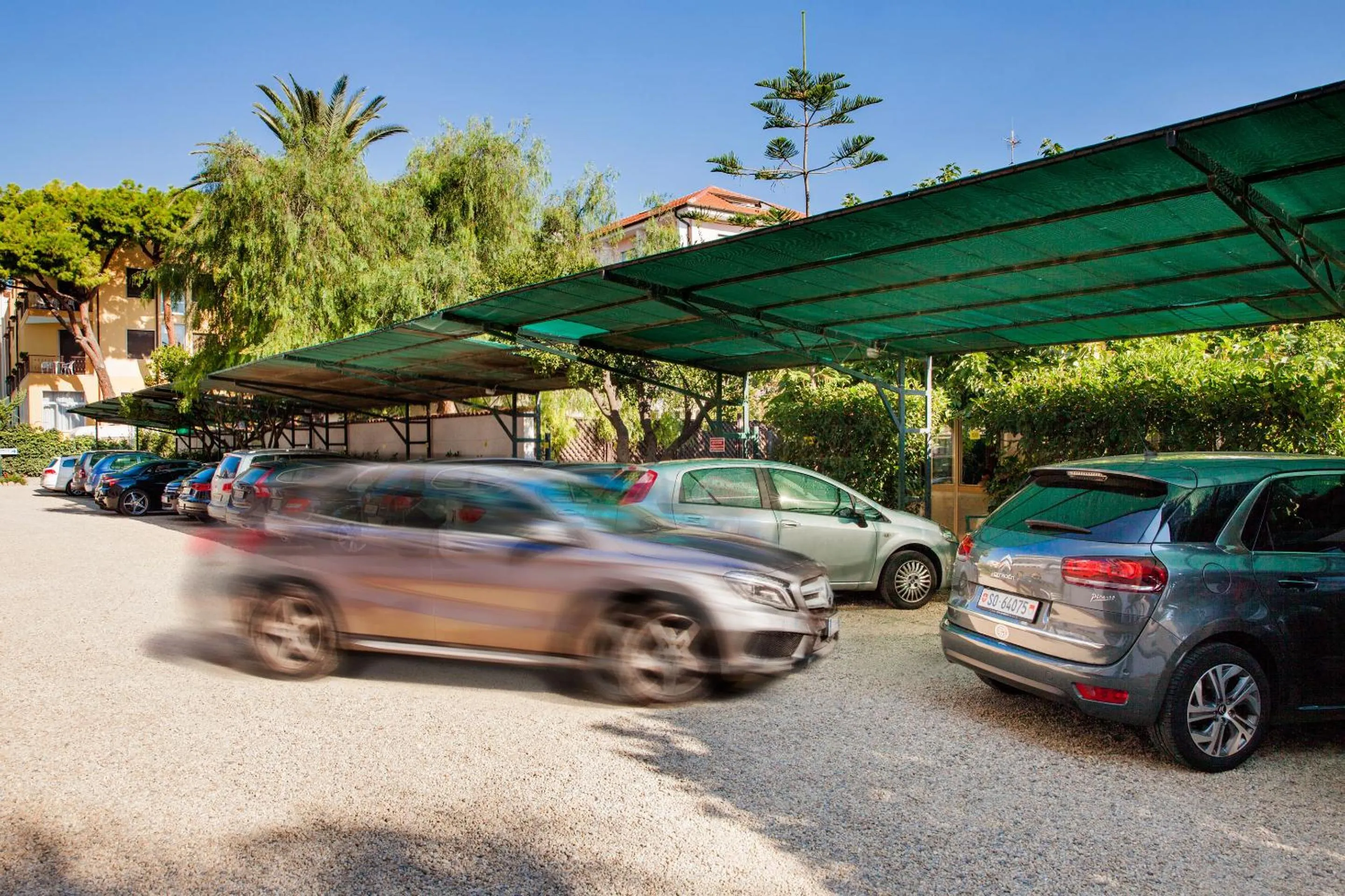 Garden in Hotel Gabriella