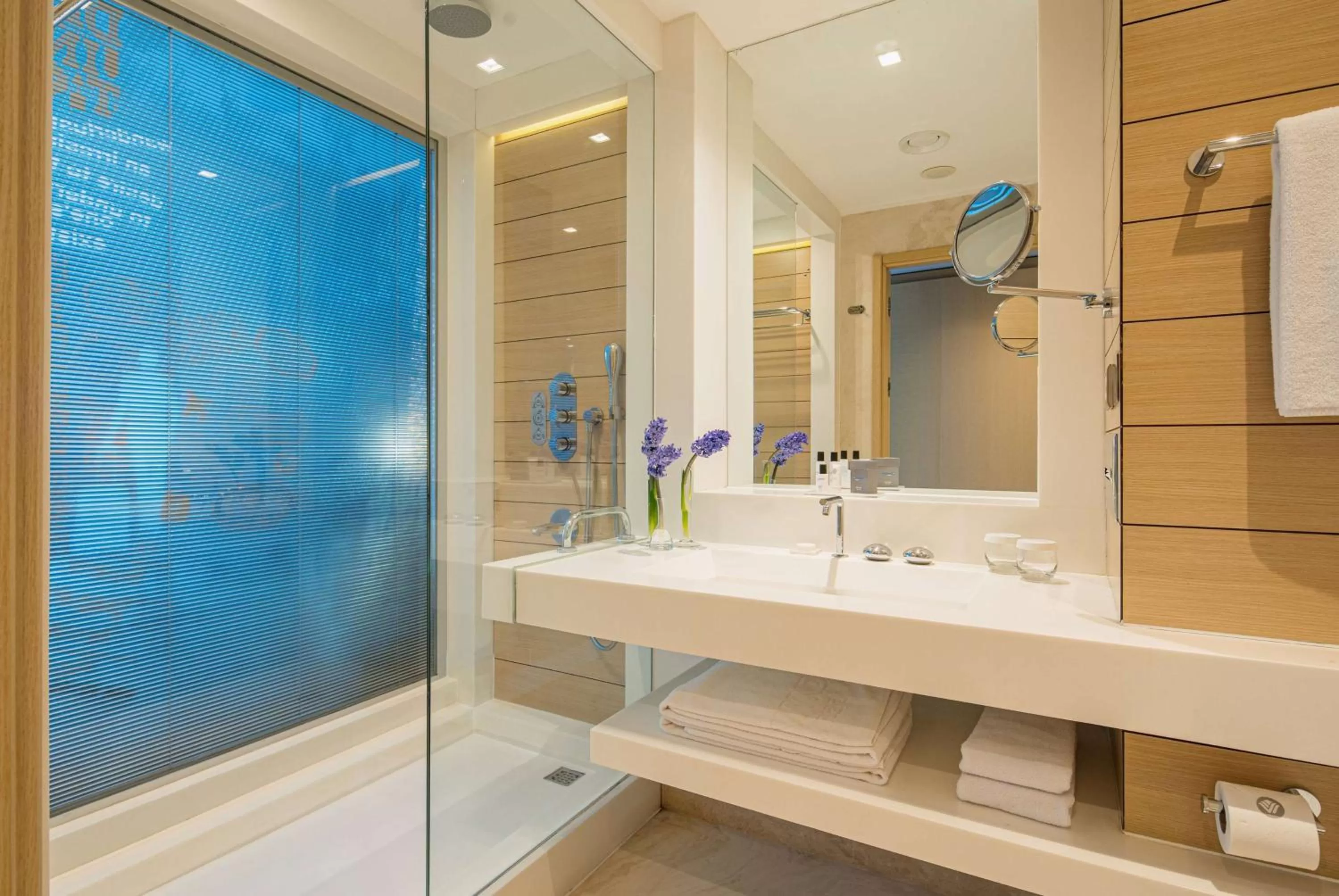 TV and multimedia in Wyndham Ankara