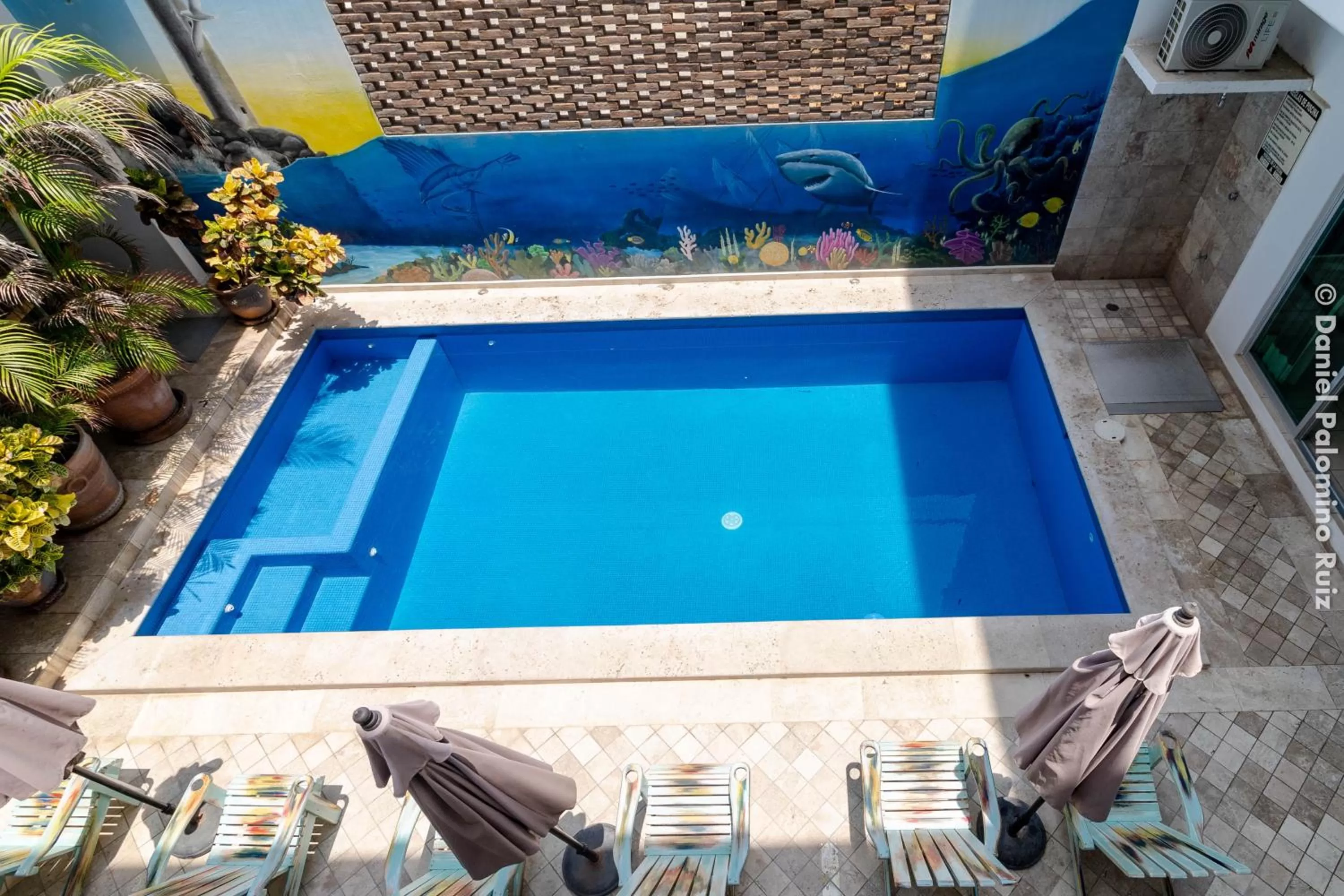 Swimming pool in Hotel Casa Pridda