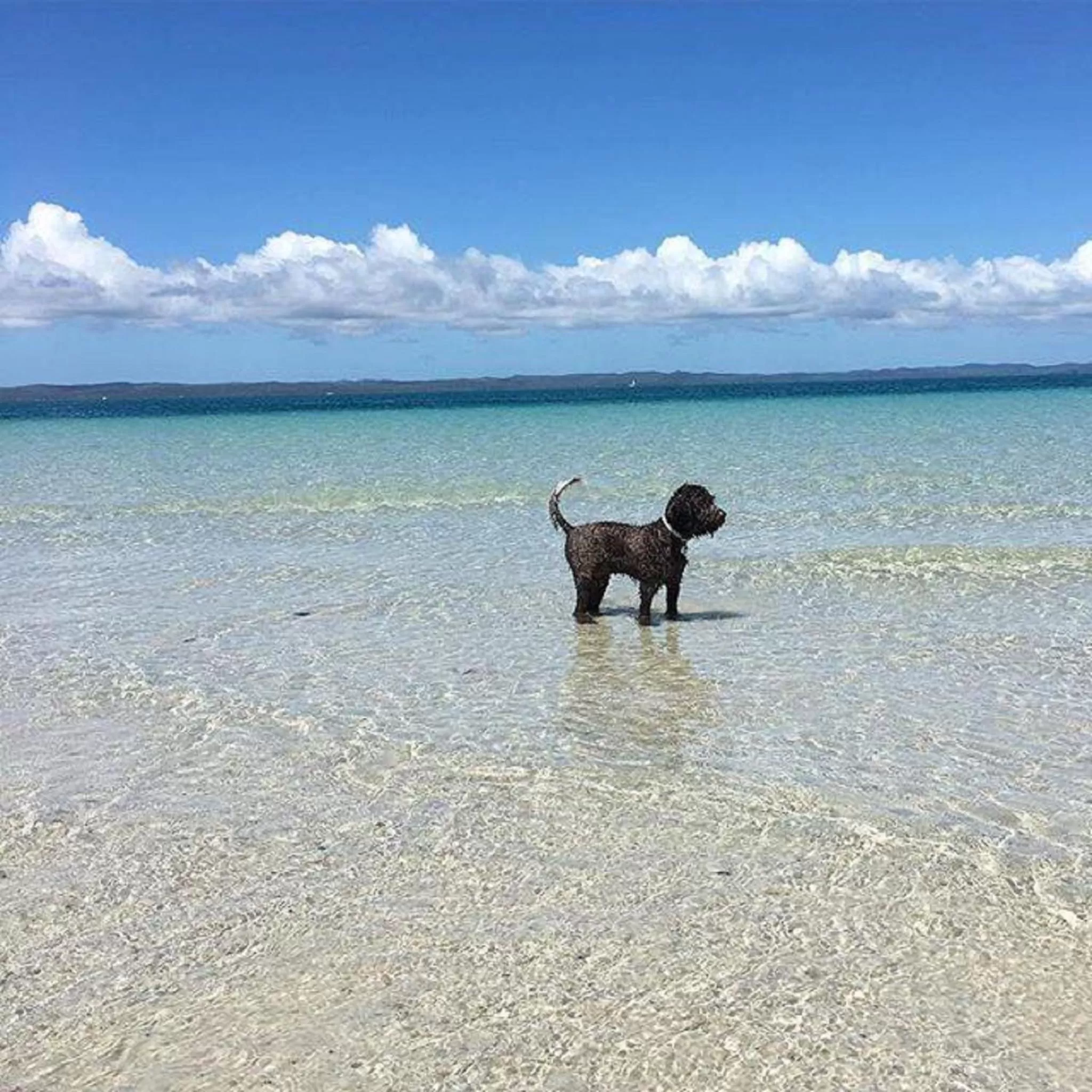 Off site in Torquay Terrace Bed & Breakfast