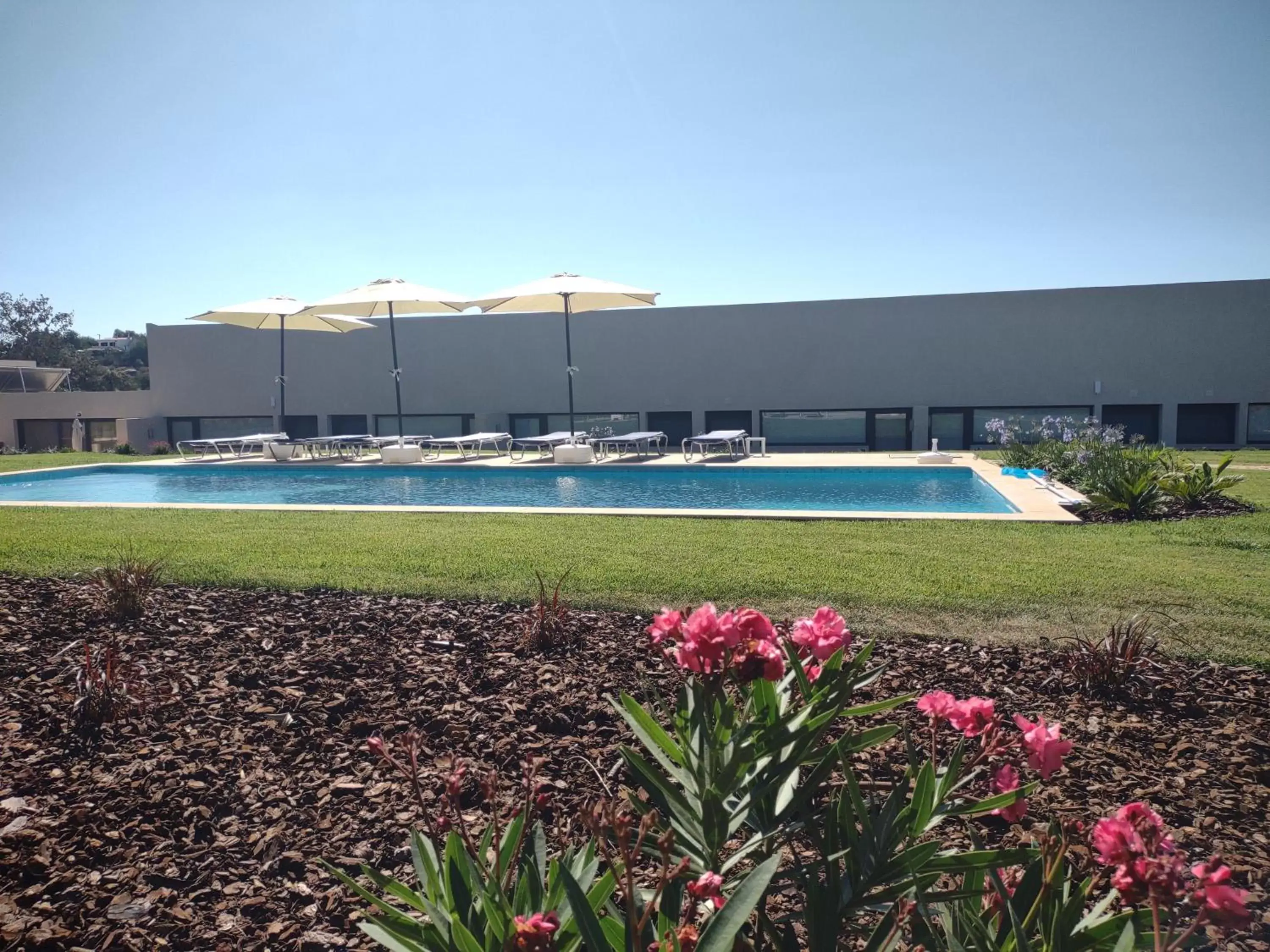 Suites Sunny hill Suites Sunny hill