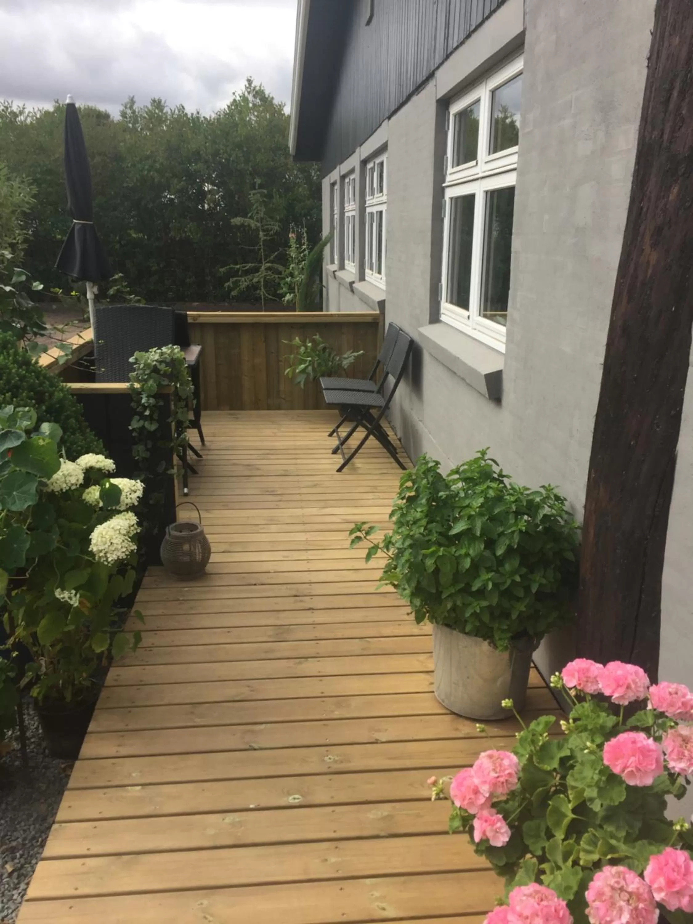 Natural landscape in Molino