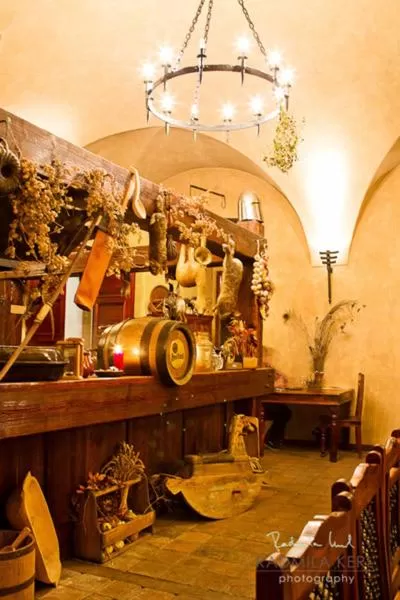 Lounge or bar in Chateau Zbiroh