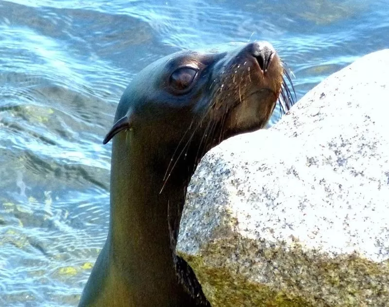Day in Coastal Comfort Motel
