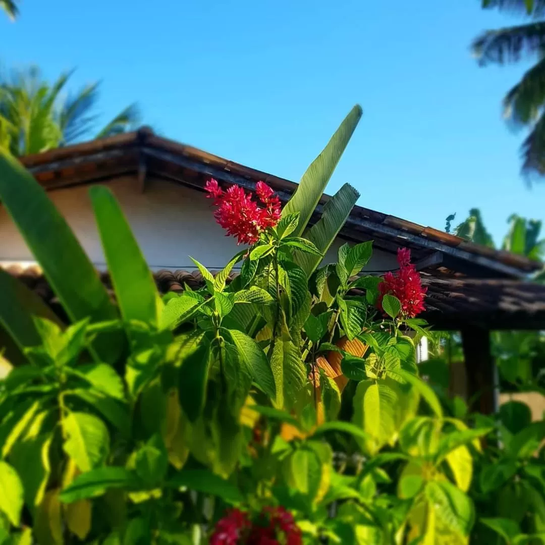 Garden, Property Building in Pousada Villages Boutique Hotel