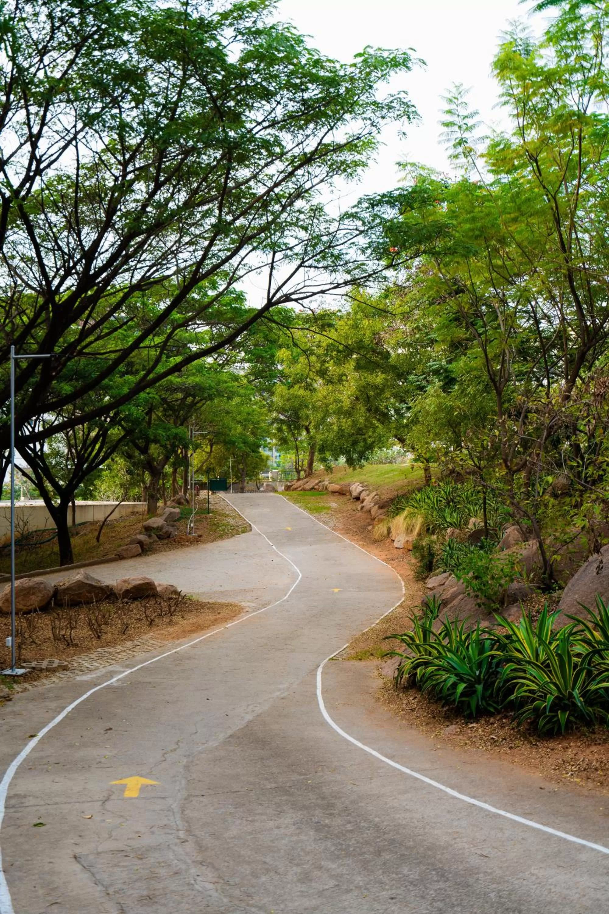 Day in Hyatt Hyderabad Gachibowli