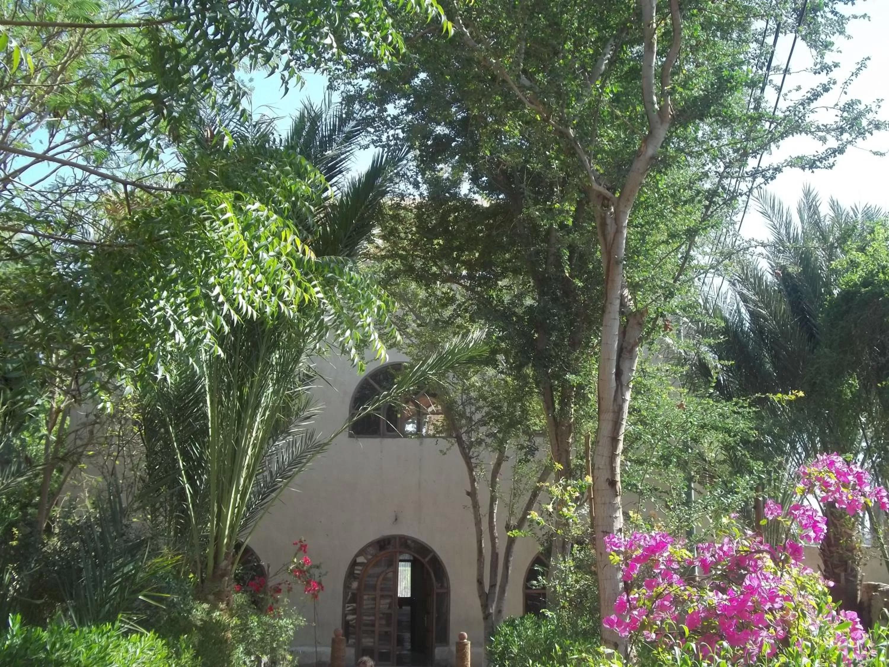Facade/entrance in Nour El Balad