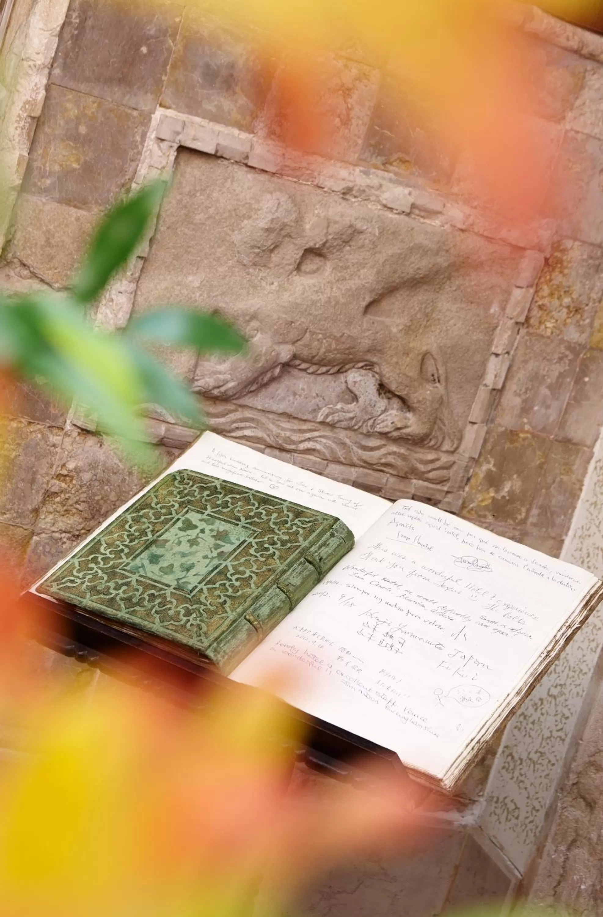 Other in Hotel Saturnia & International