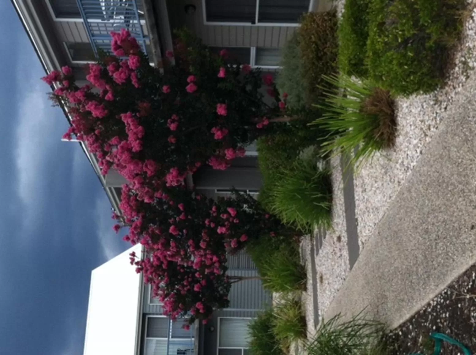 Facade/entrance in Quest Williamstown North