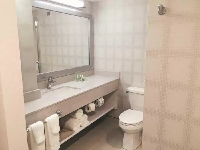 King Junior Studio Corner Suite - Non-Smoking in Holiday Inn Winnipeg - Airport West, an IHG Hotel