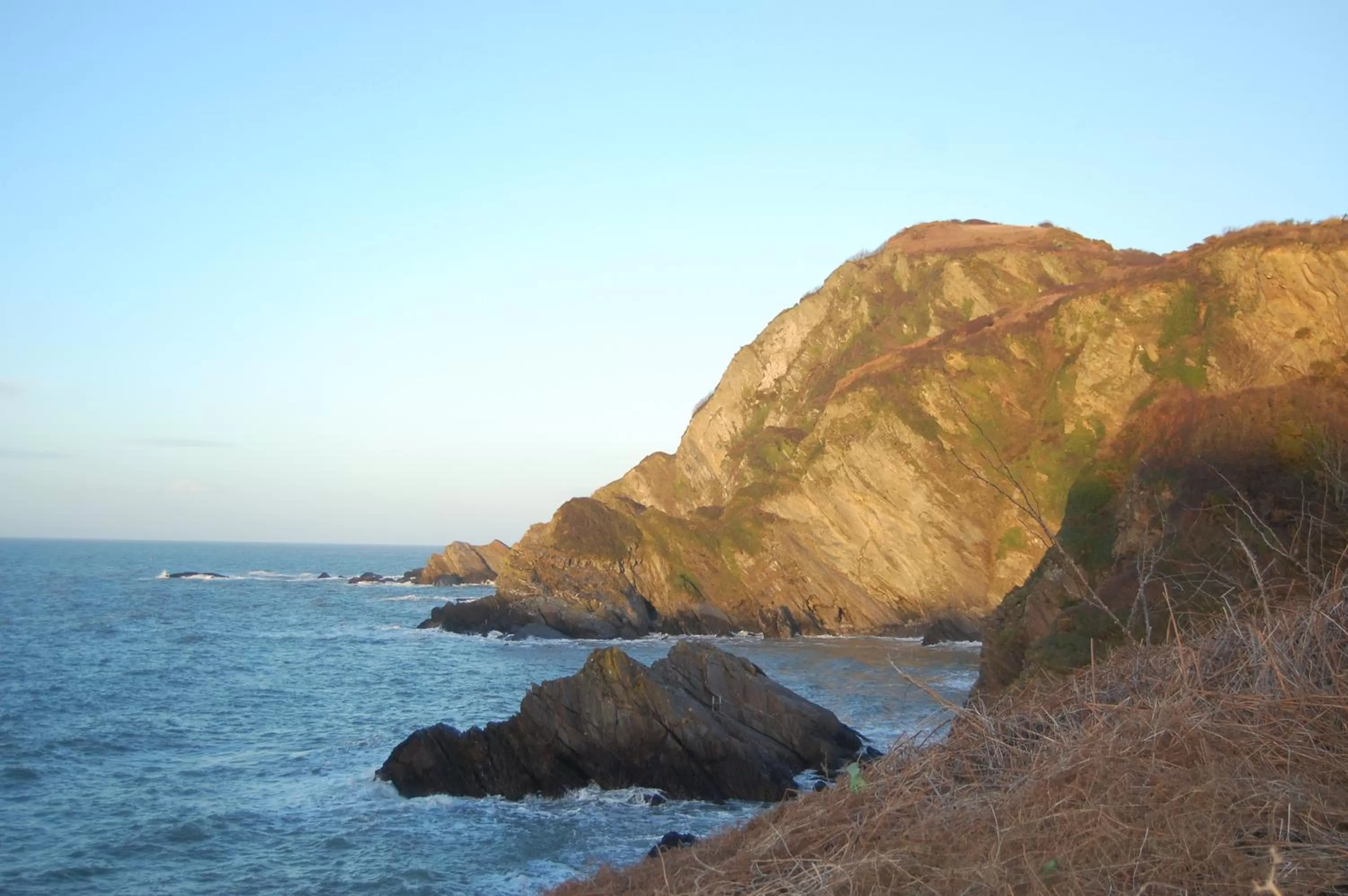 Natural landscape in The Olive Branch