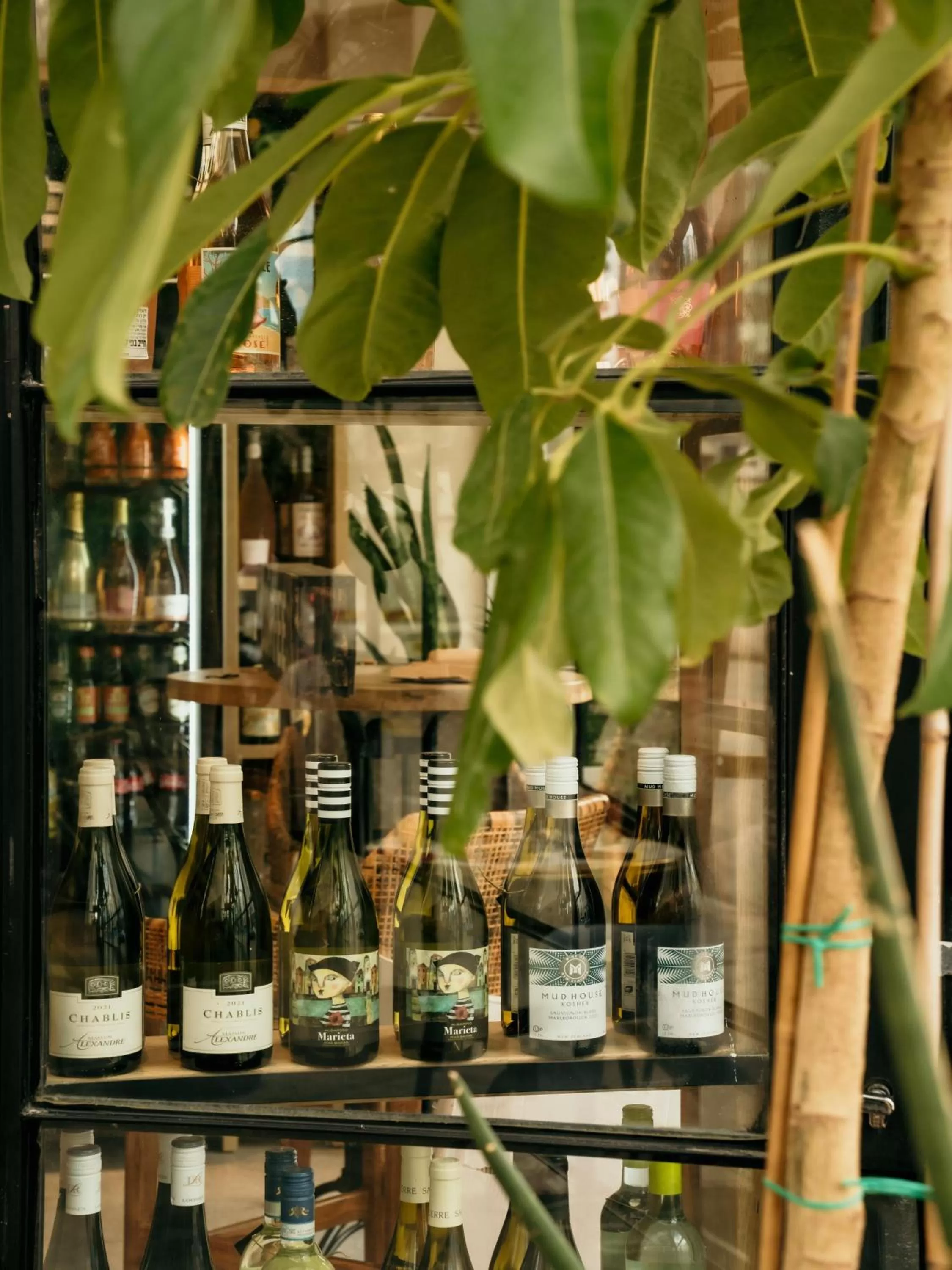 Garden in DeBlox living - Ben Avigdor Apartments