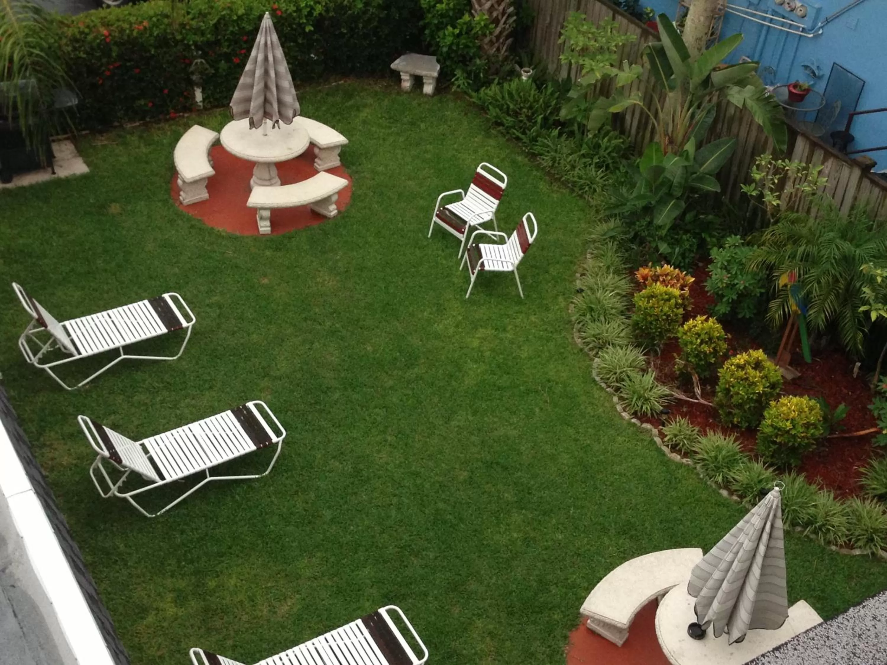 Garden in Carousel Suites -Redington Shores