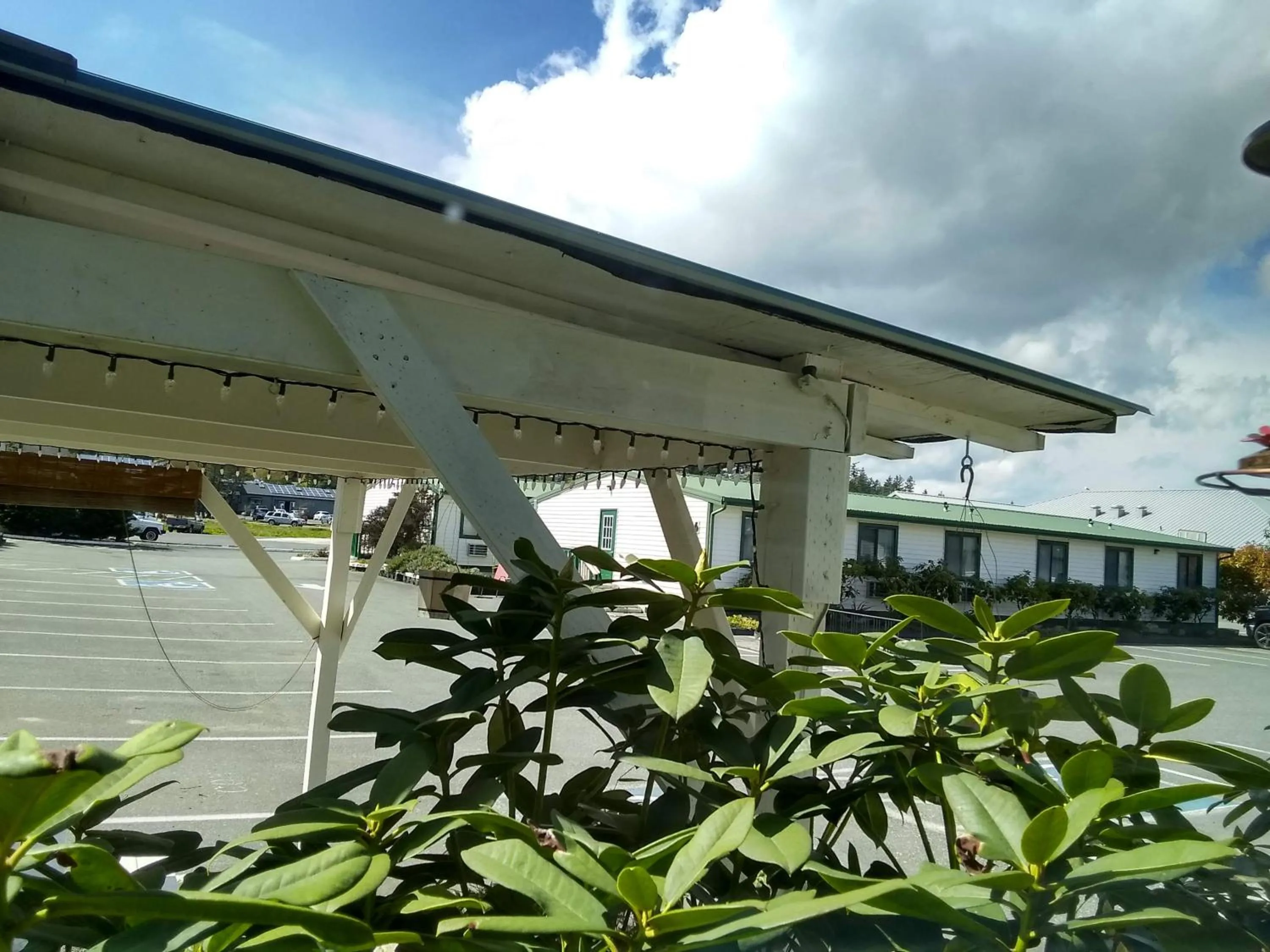 Property building in The Orca Inn