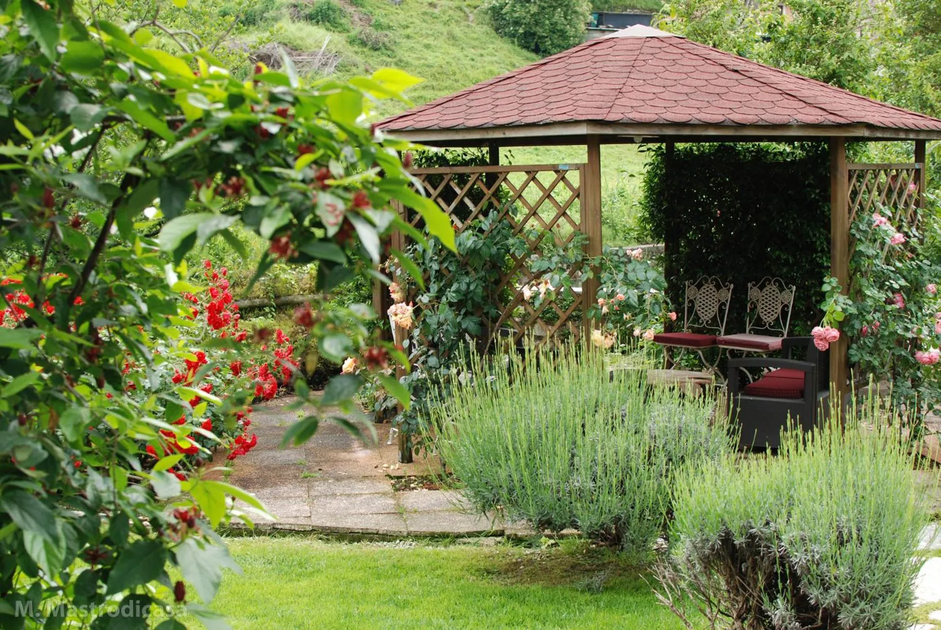 Garden in Hotel Calvi-Ristorante Mainor