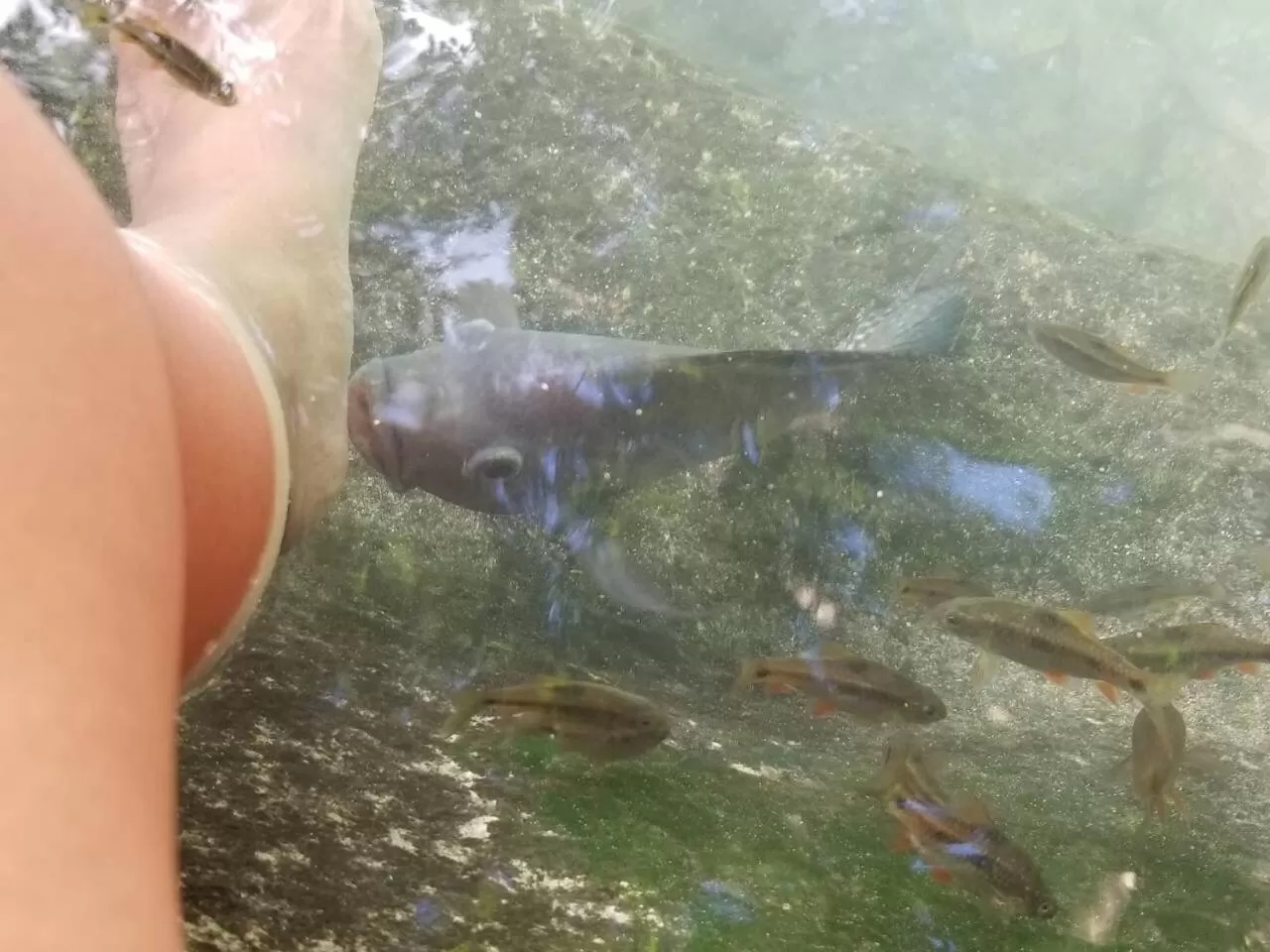 Nearby landmark in Zosimo's Inn