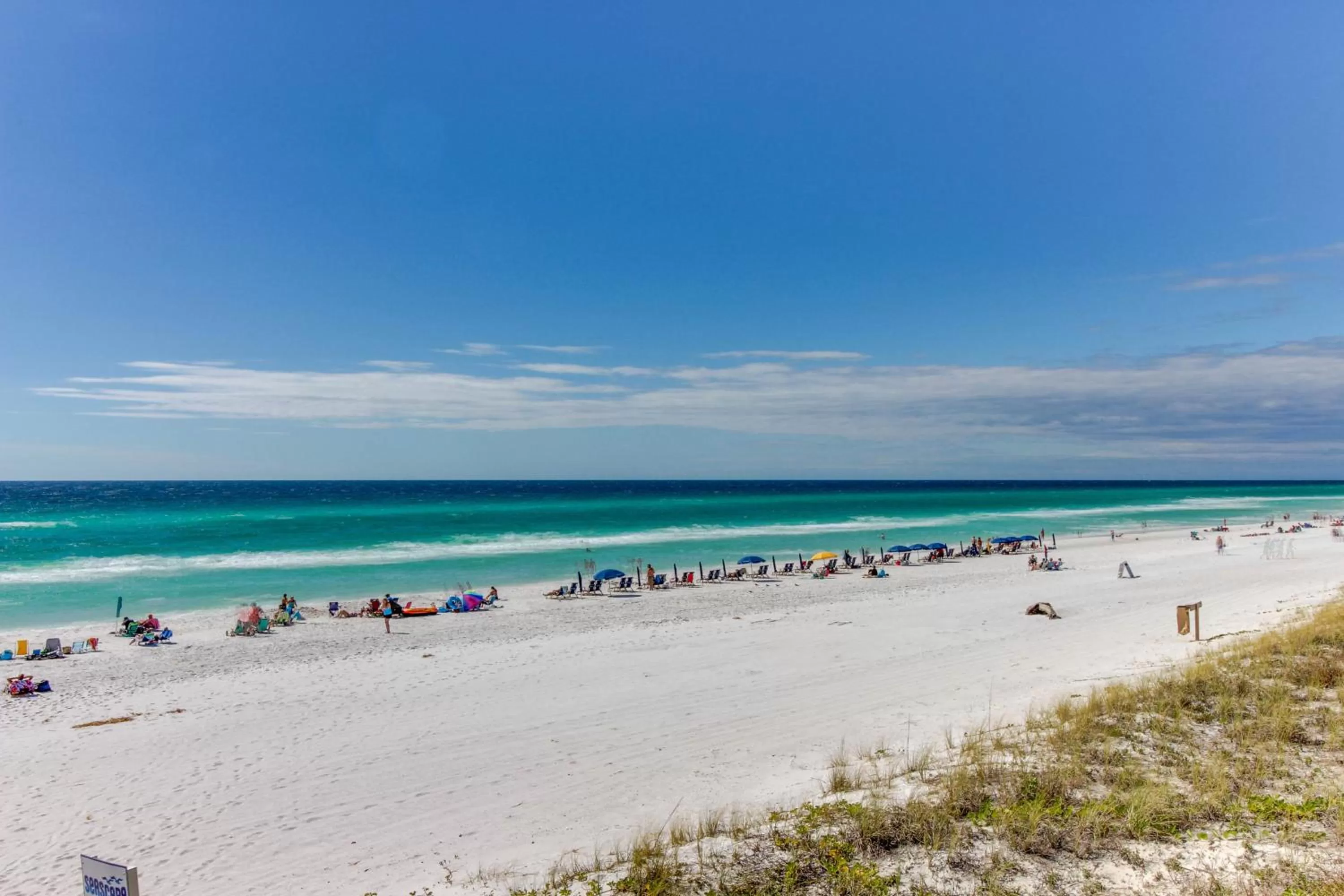 Beach in Gulf Terrace 181