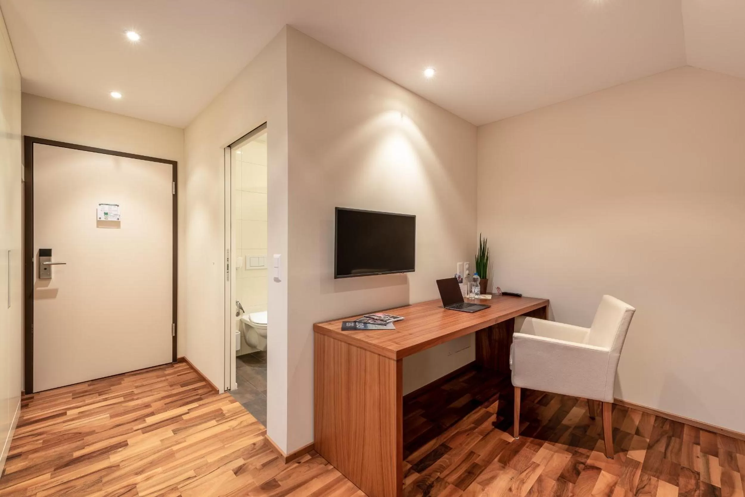 TV and multimedia in Hotel Rössli