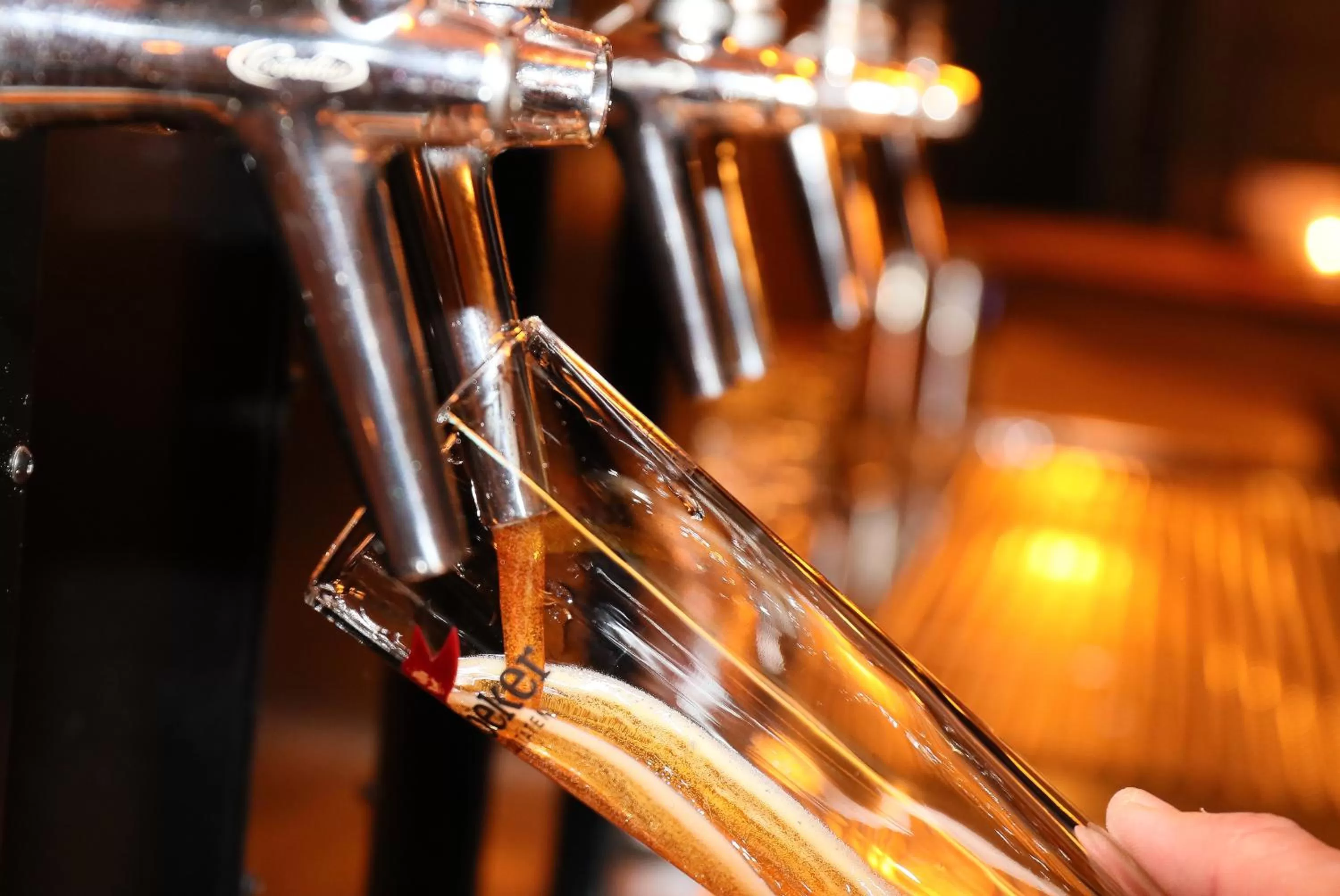 Lounge or bar in Romantik Hotel Scheelehof Stralsund