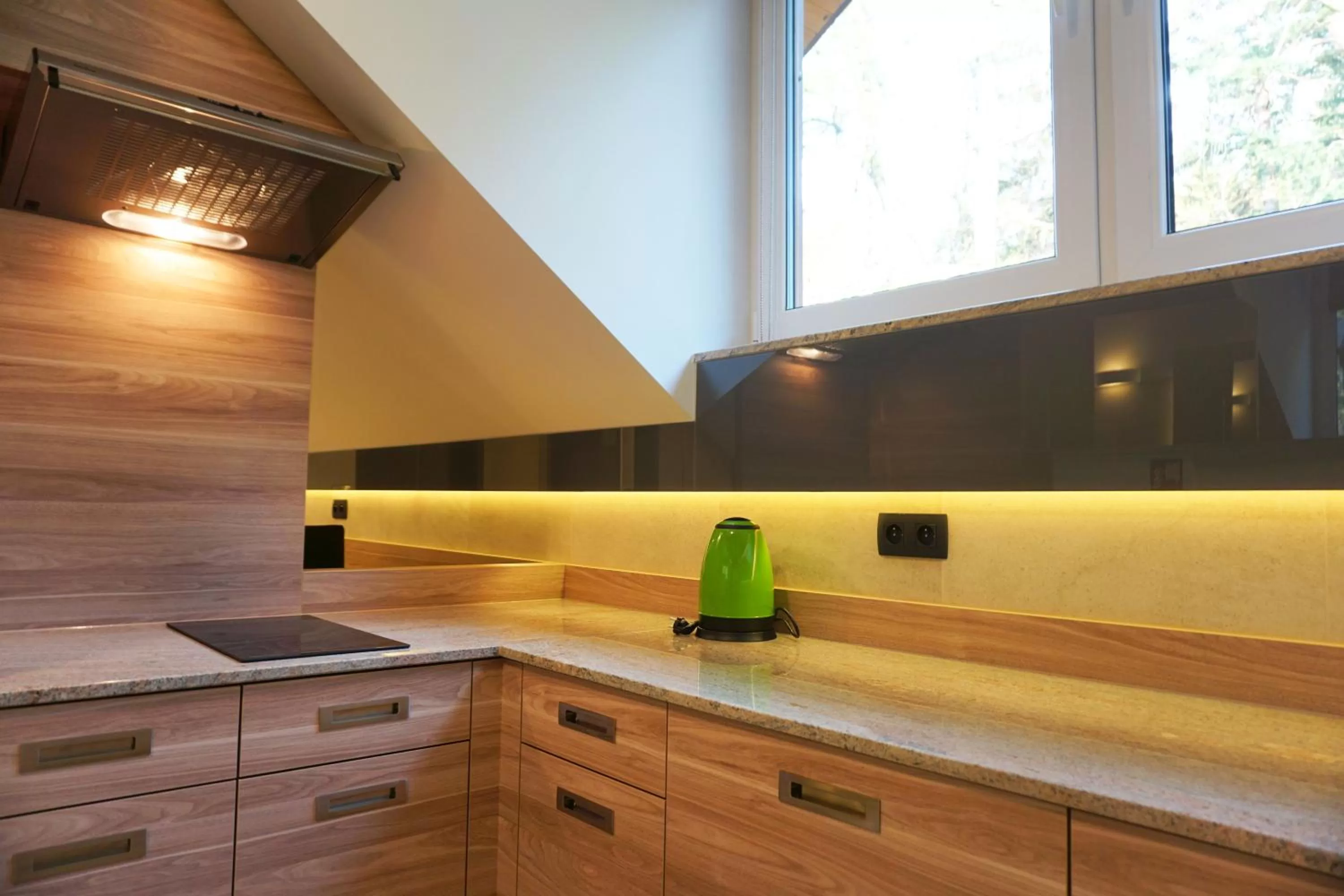 Communal kitchen in Villa Winterpol