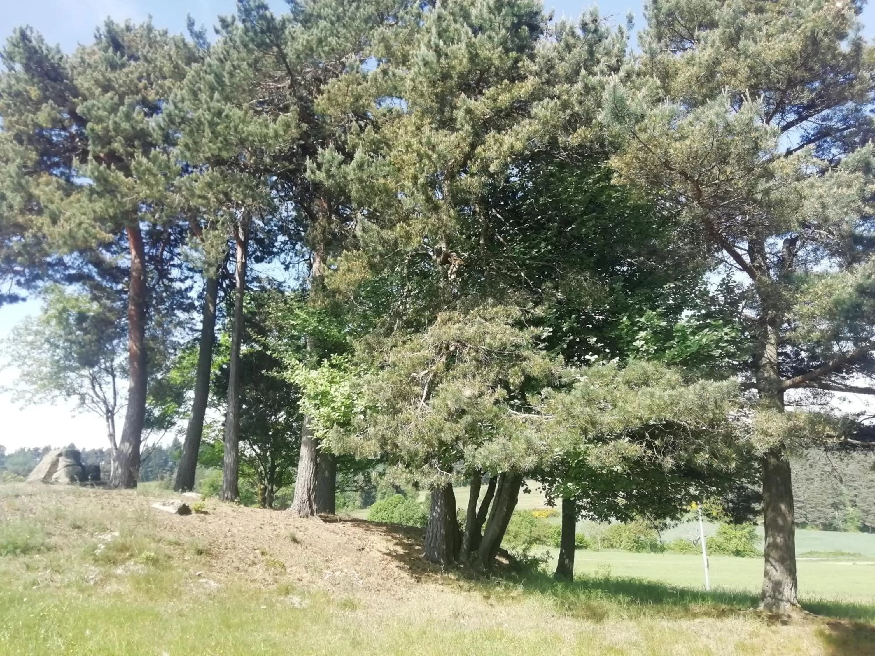 Natural landscape in Chez Sophie et Gilles