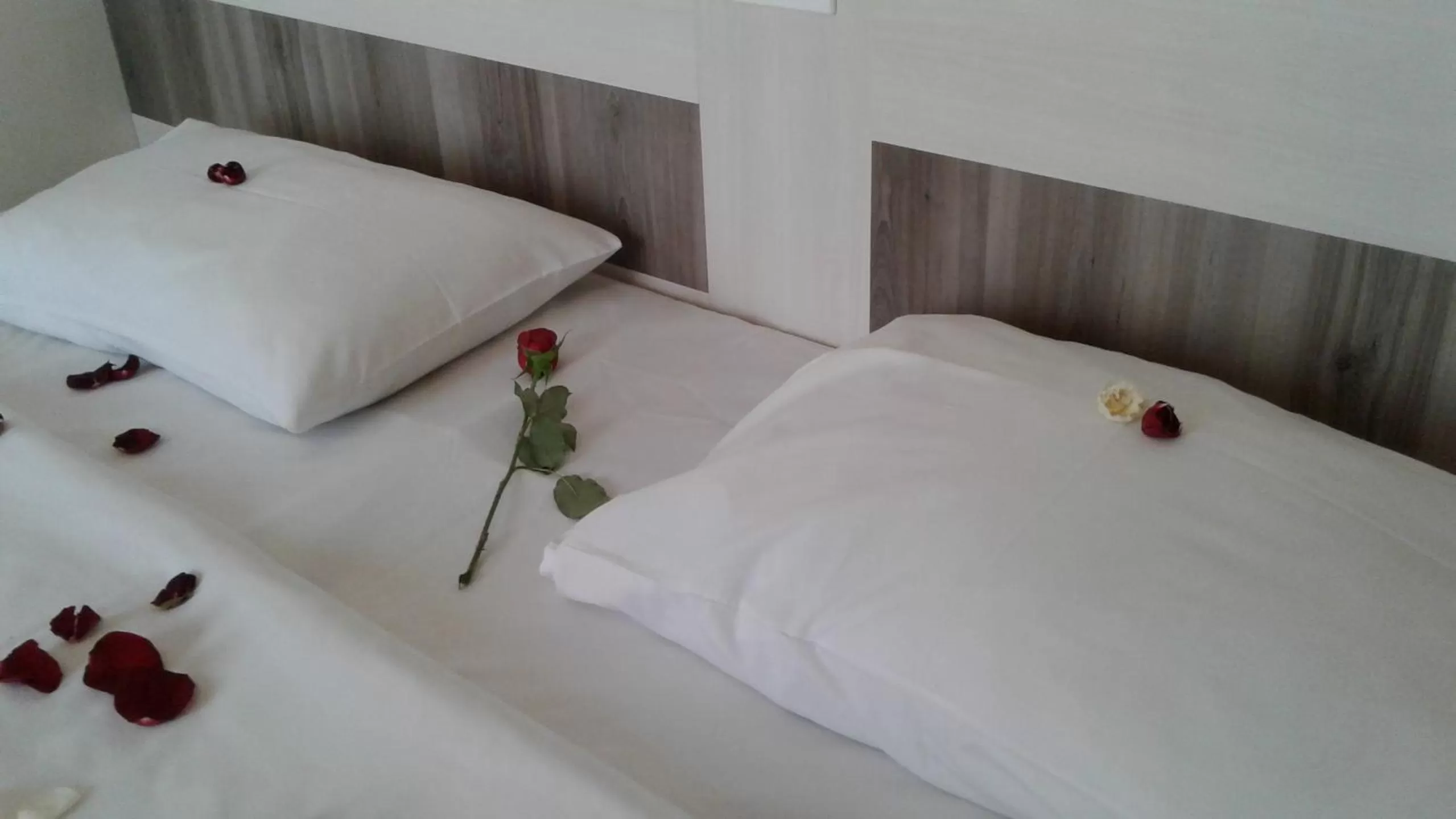 Decorative detail, Bed in CHA Prime Curitiba