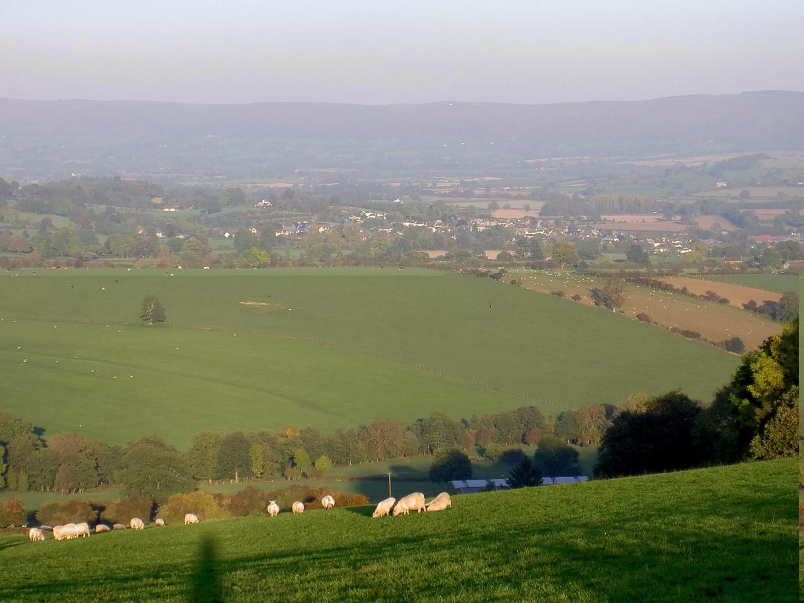 Neighbourhood, Bird's-eye View in Middle Woodbatch B&B