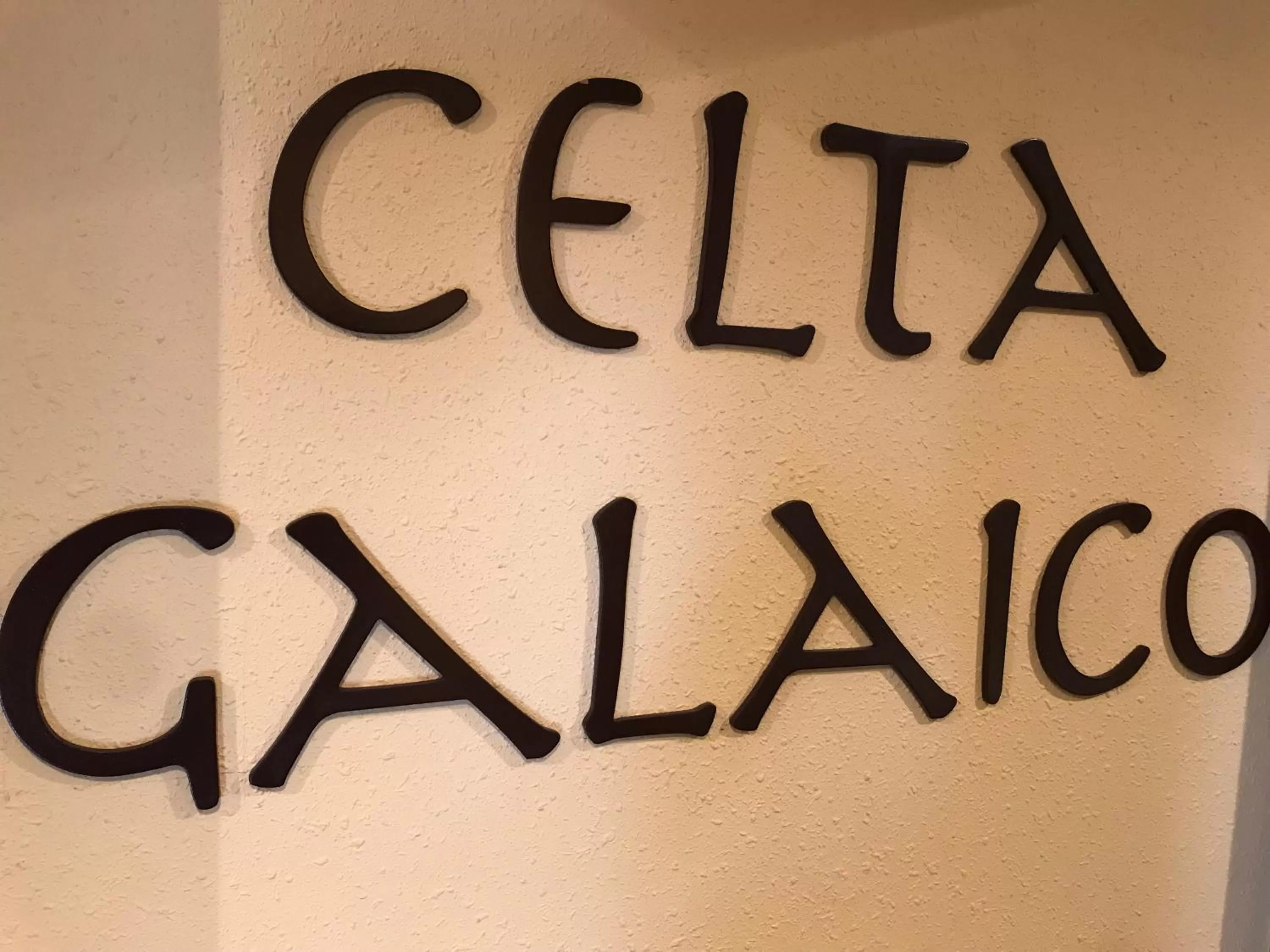 Property logo or sign in Hotel Celta Galaico