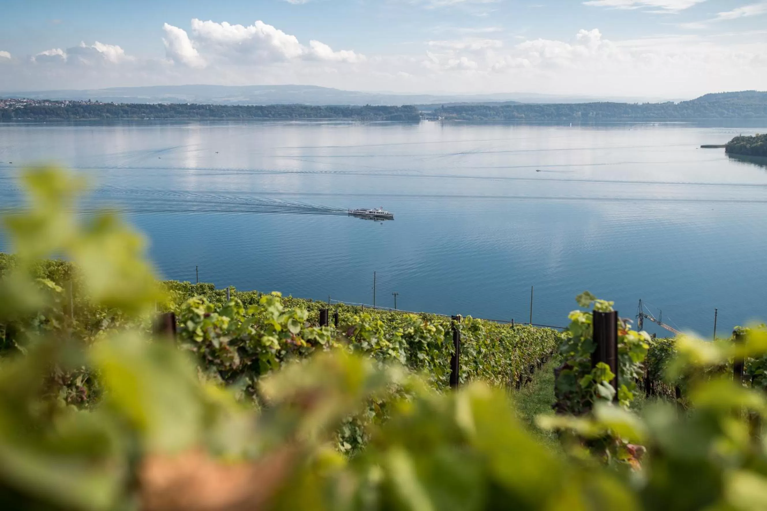 Nearby landmark in City Hotel Biel Bienne Free Parking