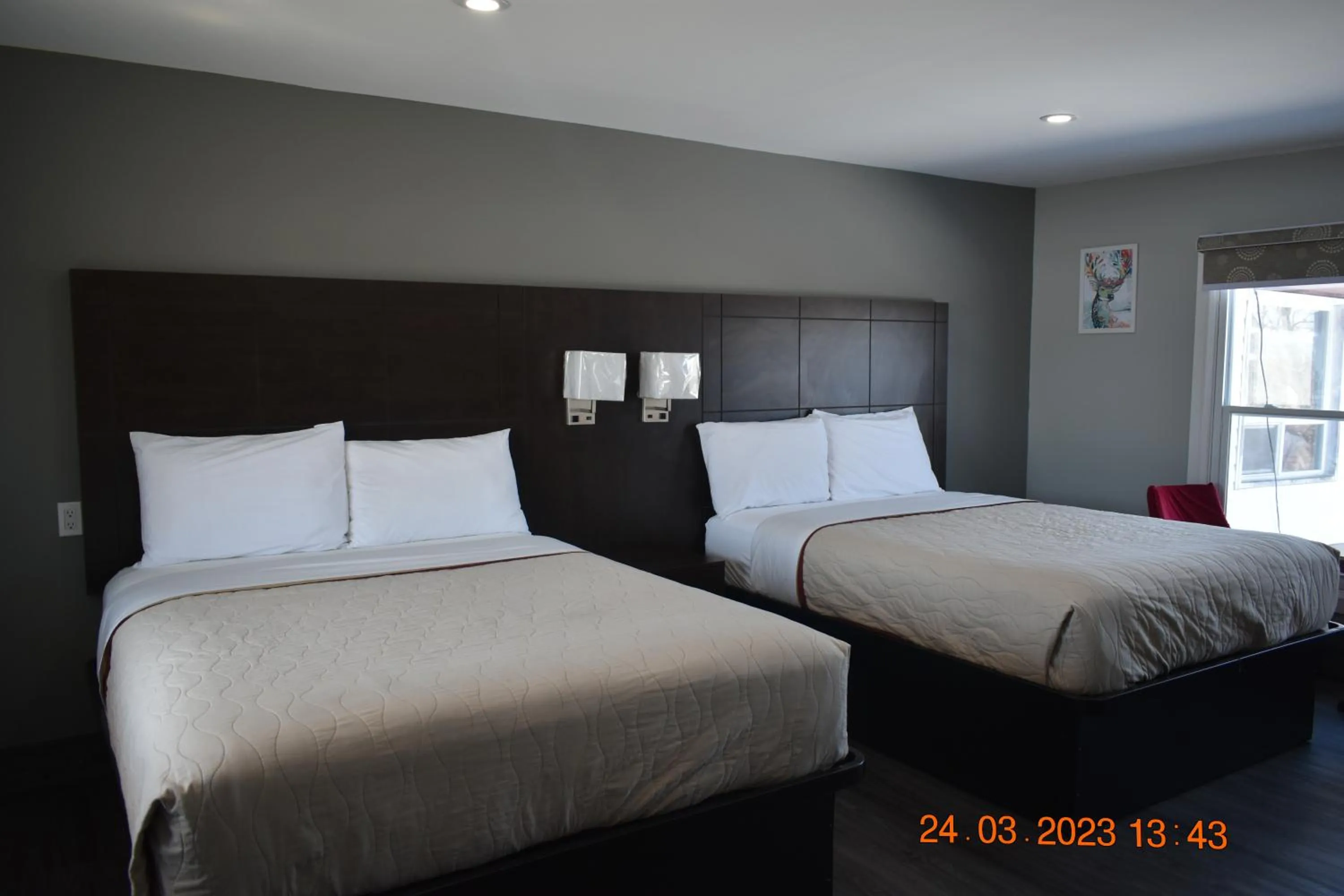 Bed in Time Travellers Motel