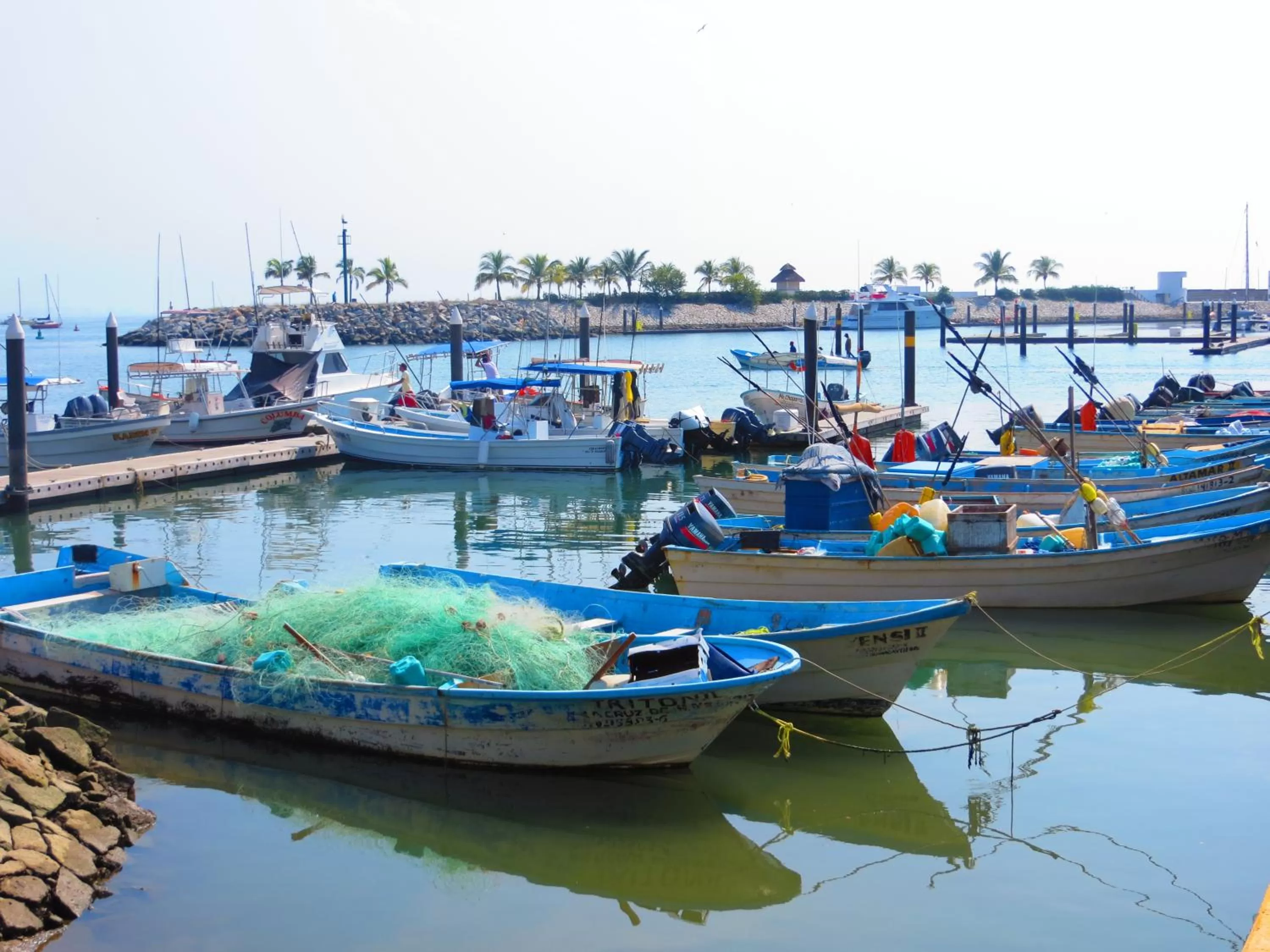 Neighbourhood in La Cruz Inn