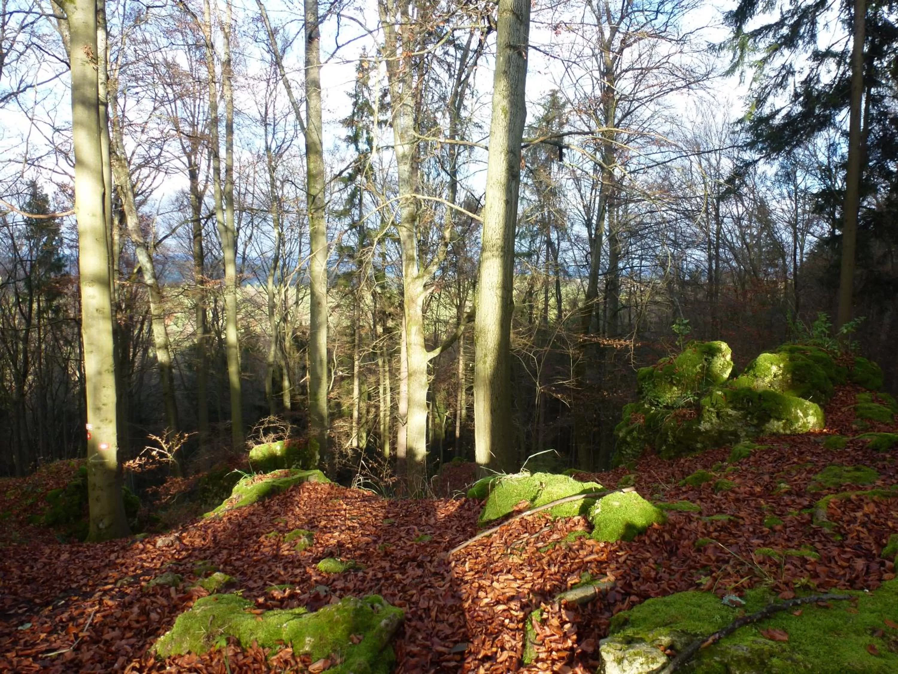 Hiking in Gasthof Hotel Reif