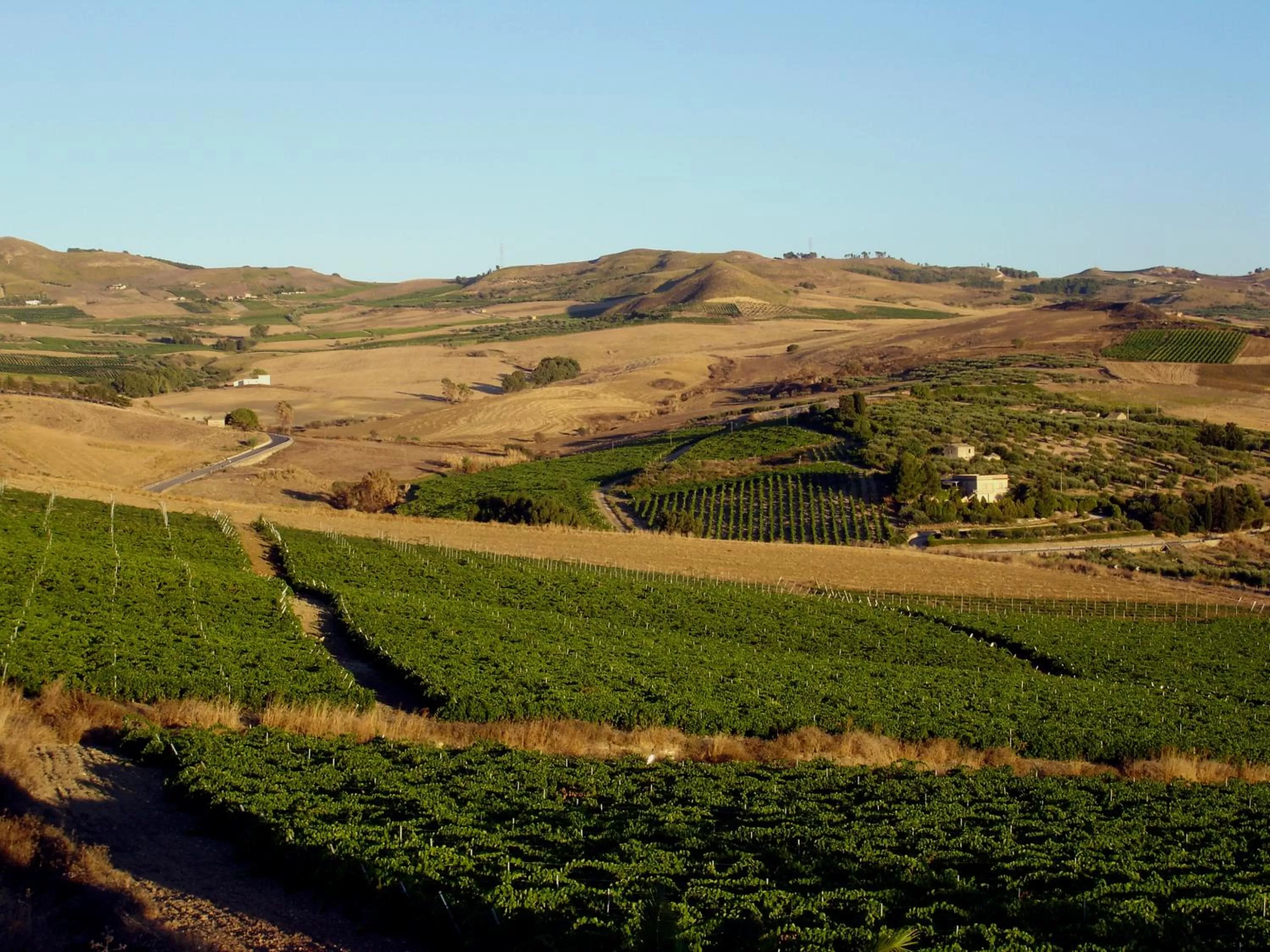 View (from property/room), Natural Landscape in Xanadu - Villa Giardinata