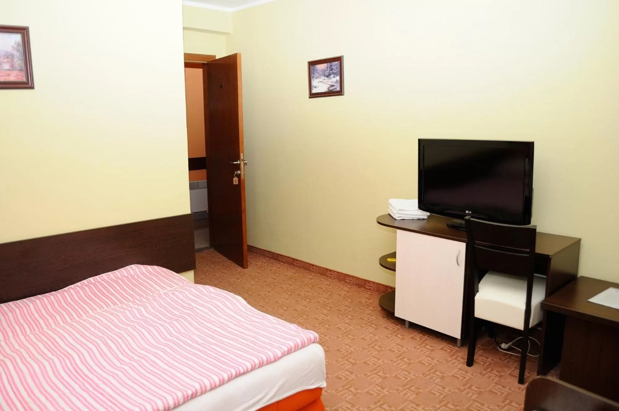 TV/Entertainment Center in Motel Borik