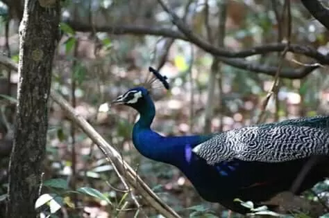 Activities in Lake Bliss