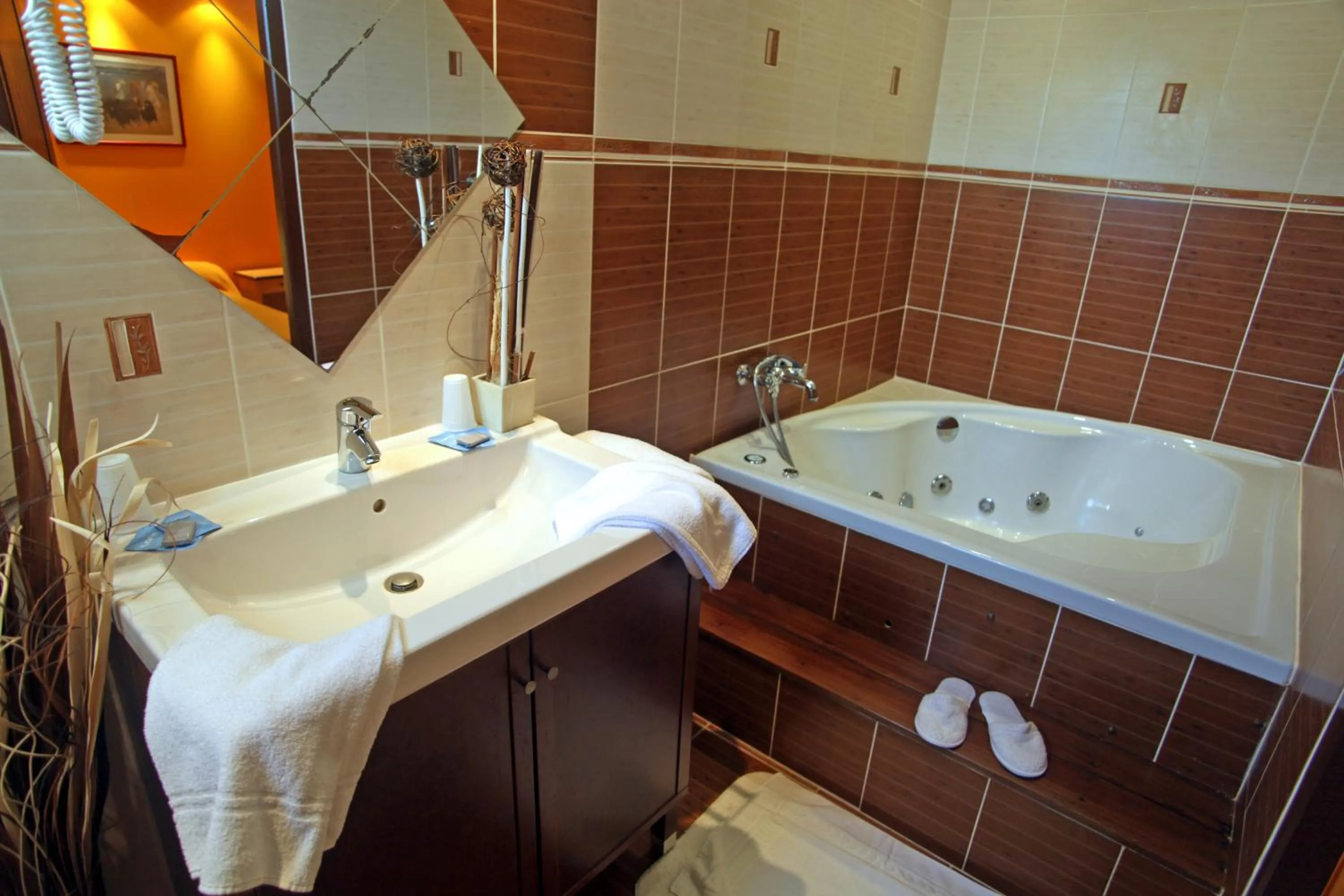 Bathroom in Hôtel restaurant Mon Auberge