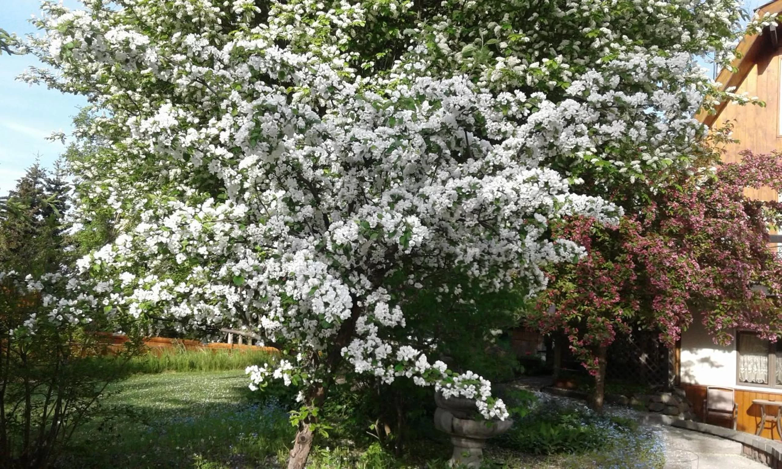 Garden in Alaska Chalet Bed & Breakfast