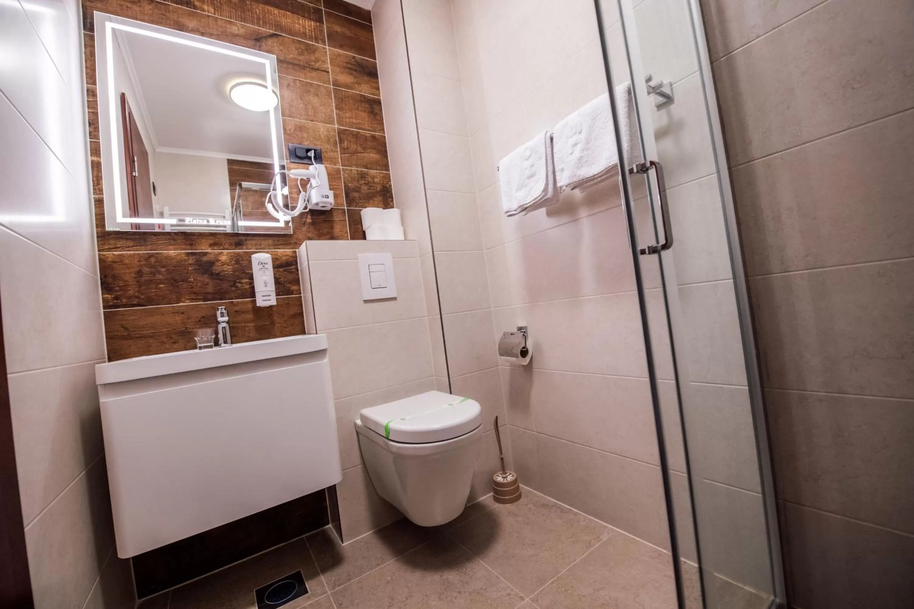 Bathroom in Zlatna Kruna