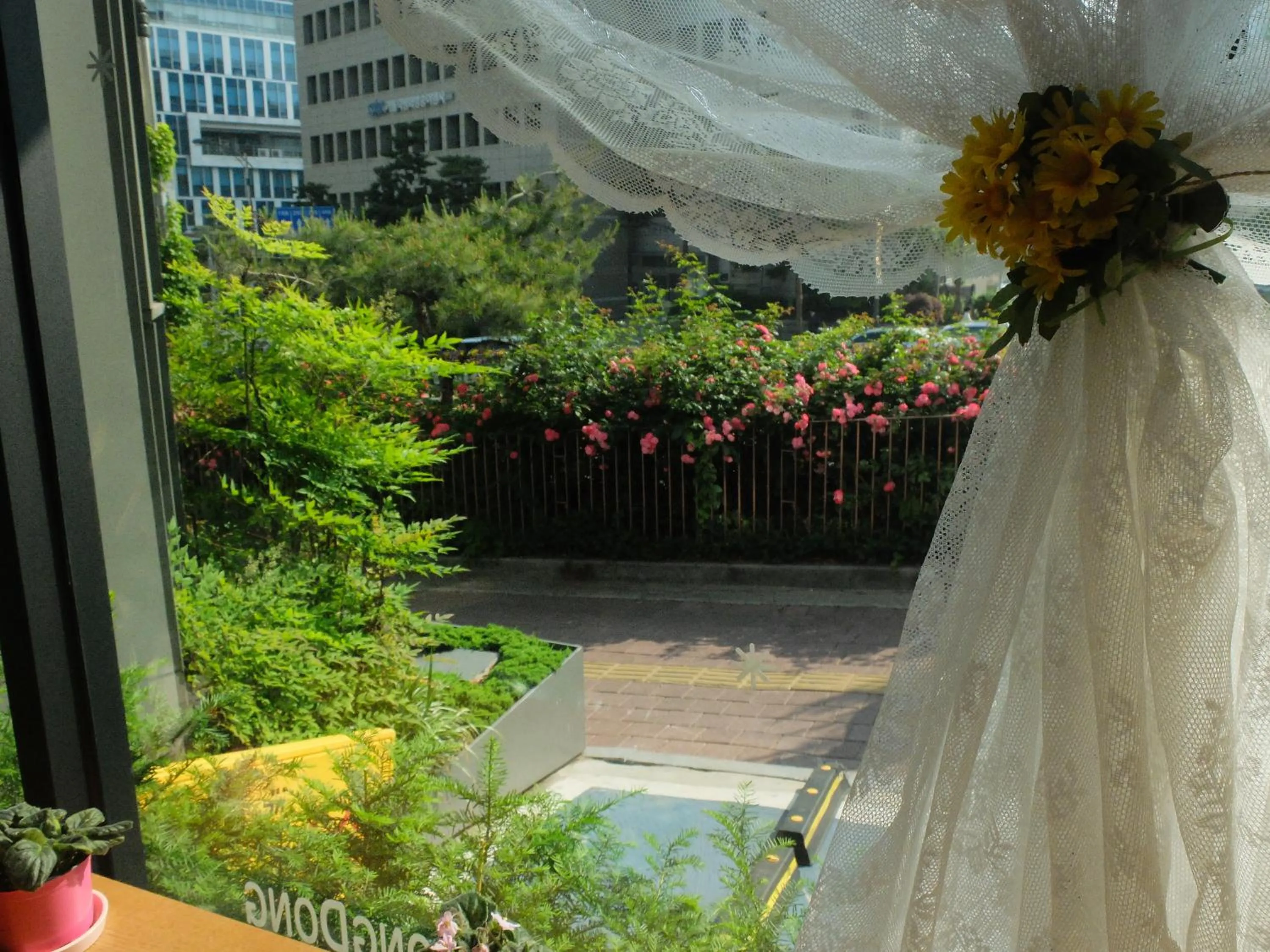 Garden view in Ehwa In Myeongdong