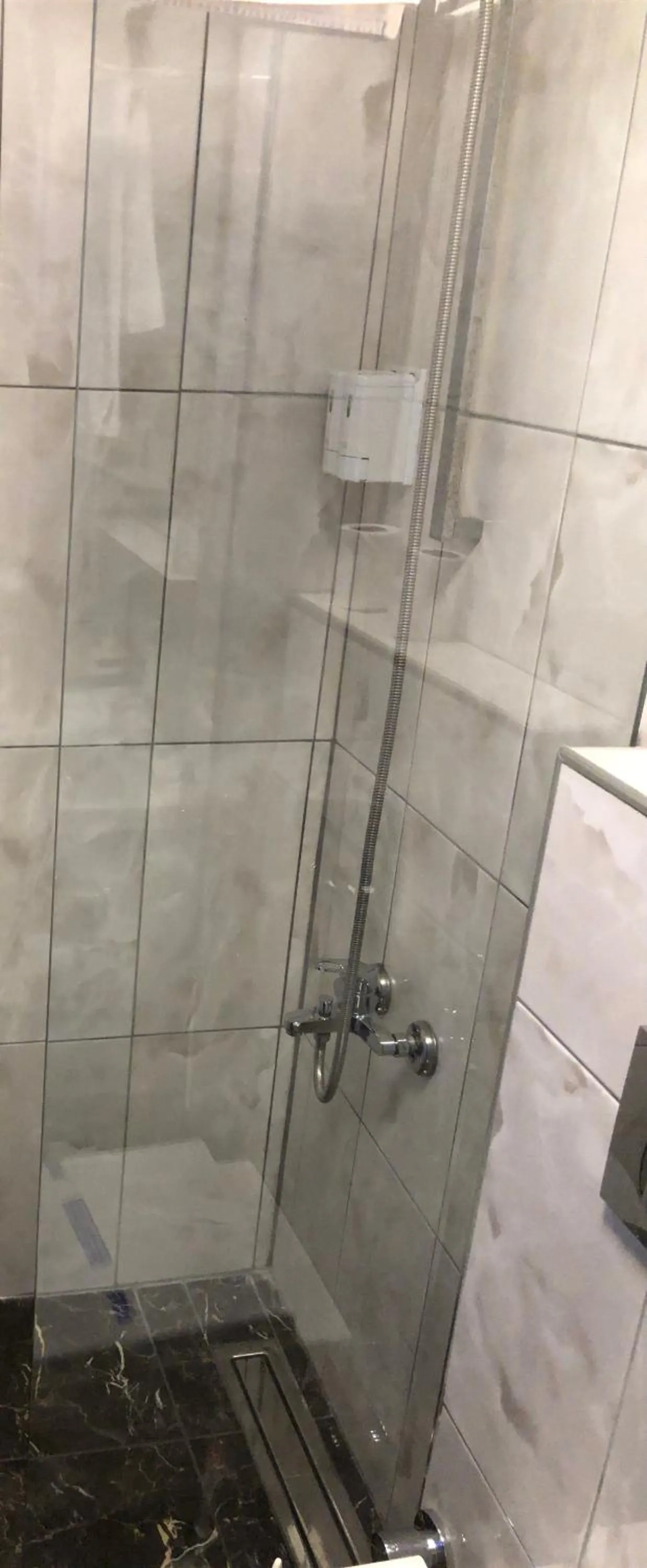 Photo of the whole room in The House of Tulpan