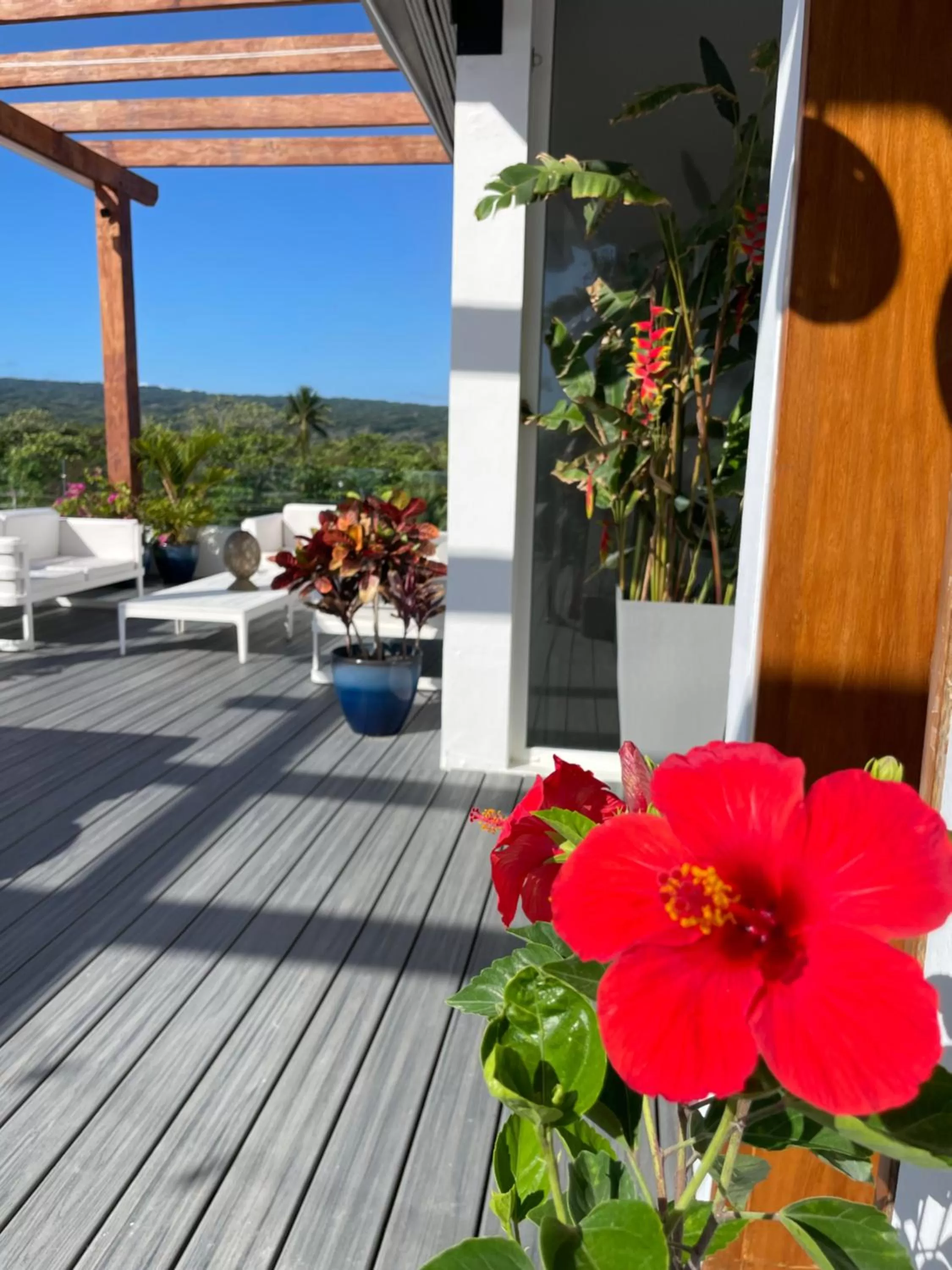 Ultravioleta Boutique Residences