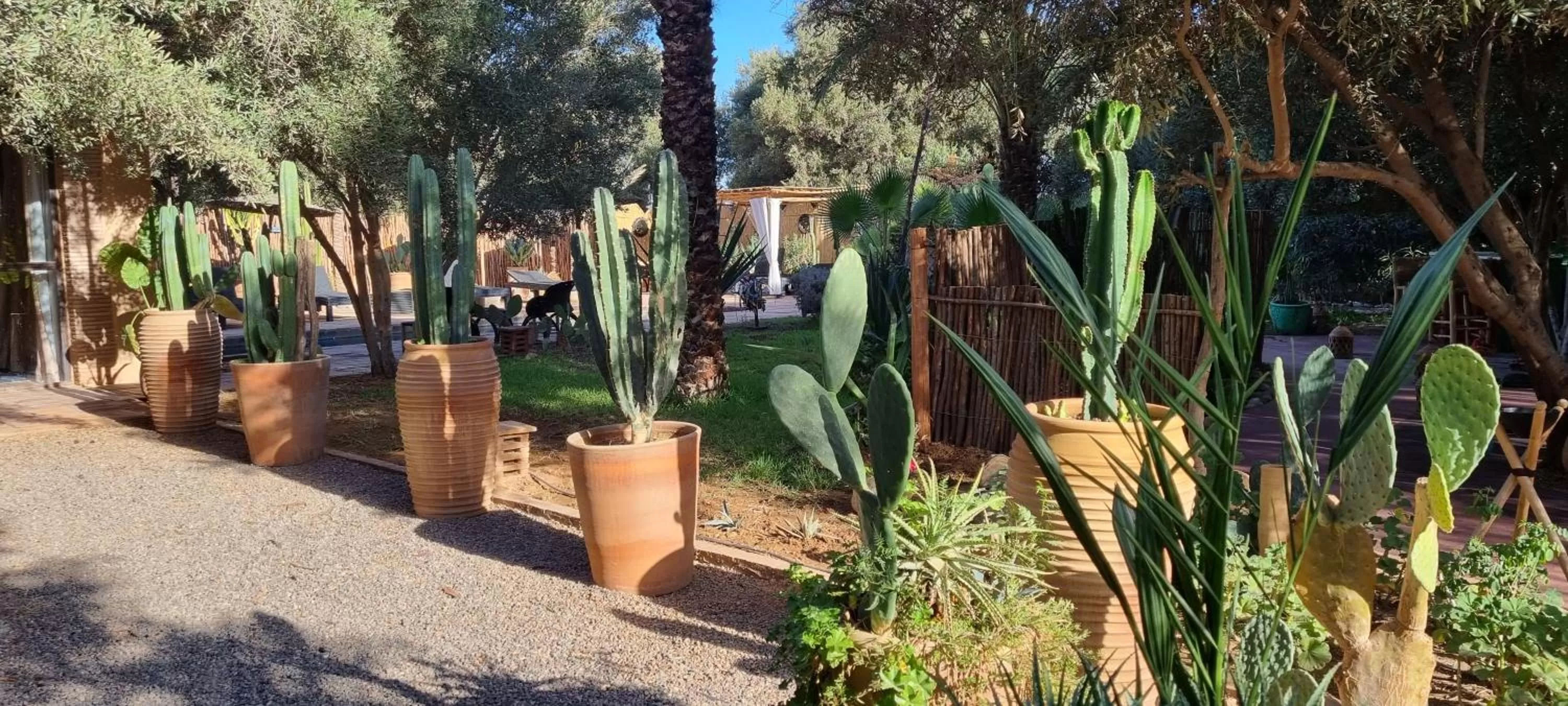 Garden in Les Trois Paons