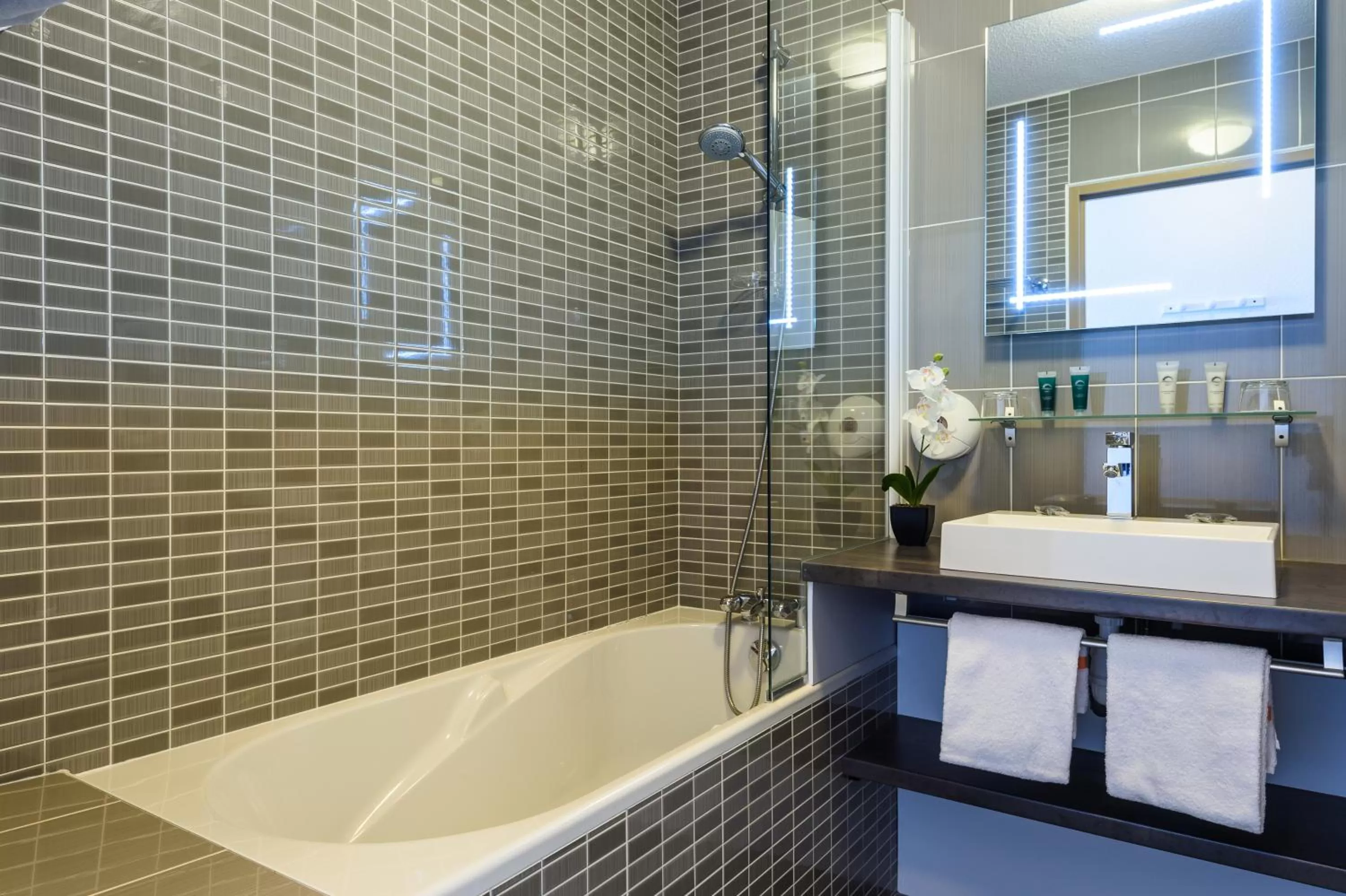 Bathroom in Les Terrasses d'Atlanthal