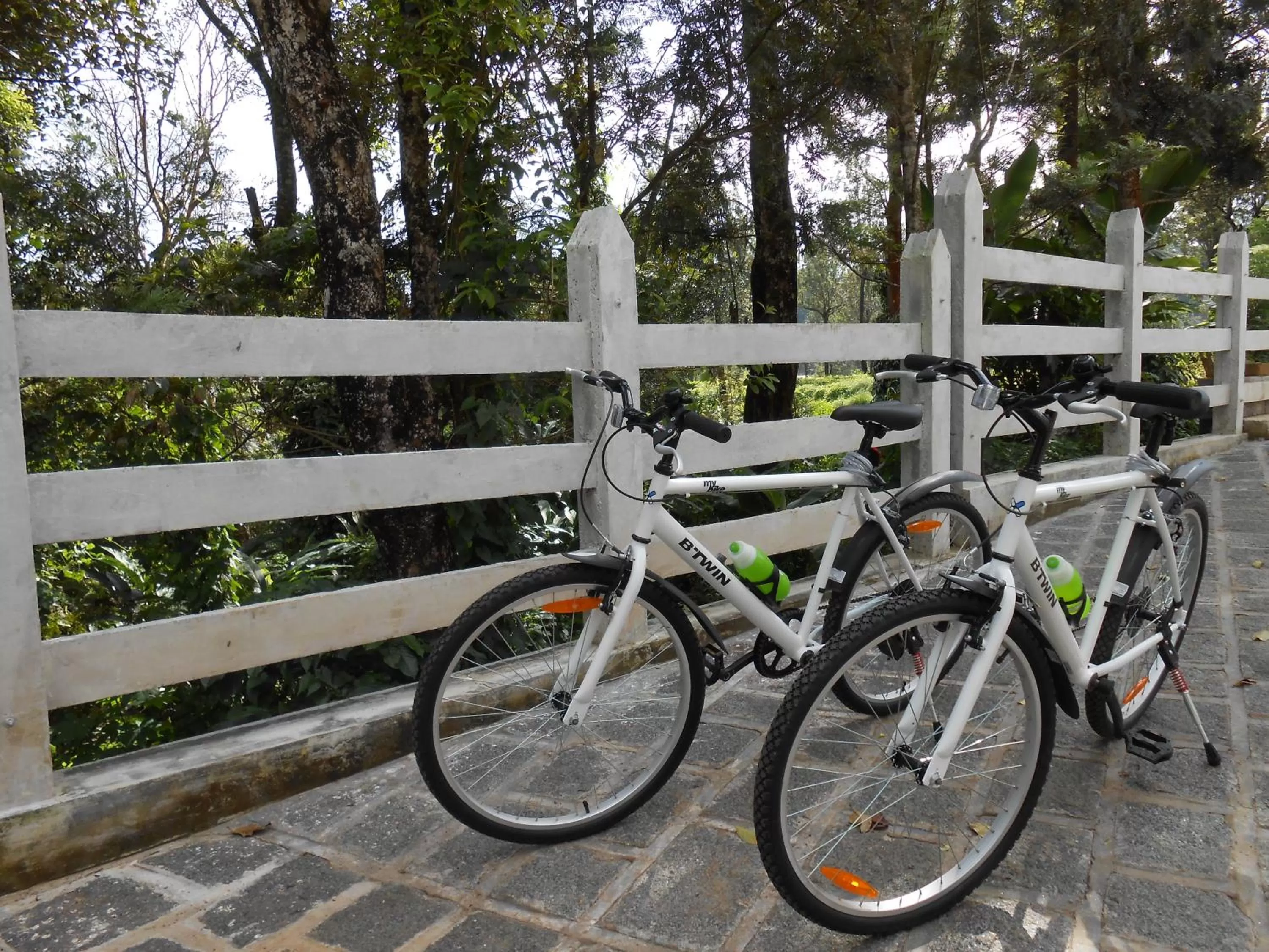 Cycling in Tea Harvester