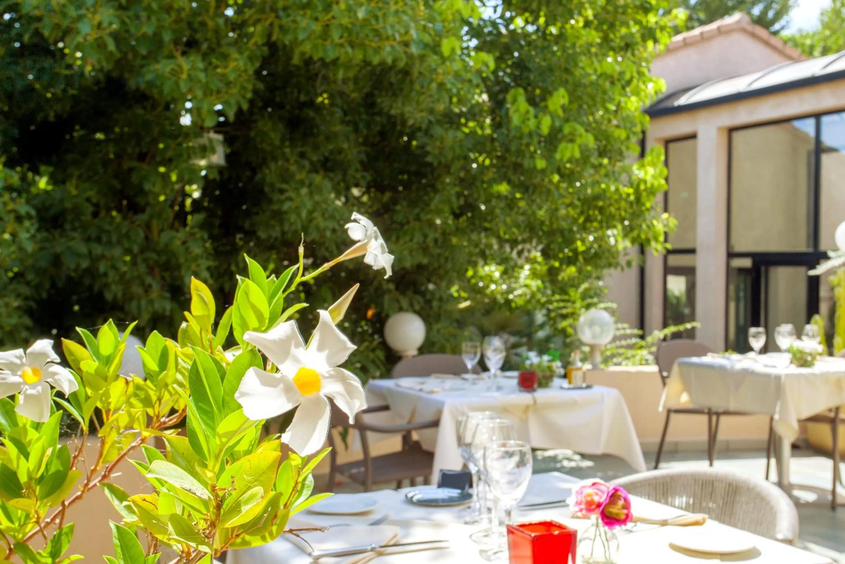 Patio in Chez Walter