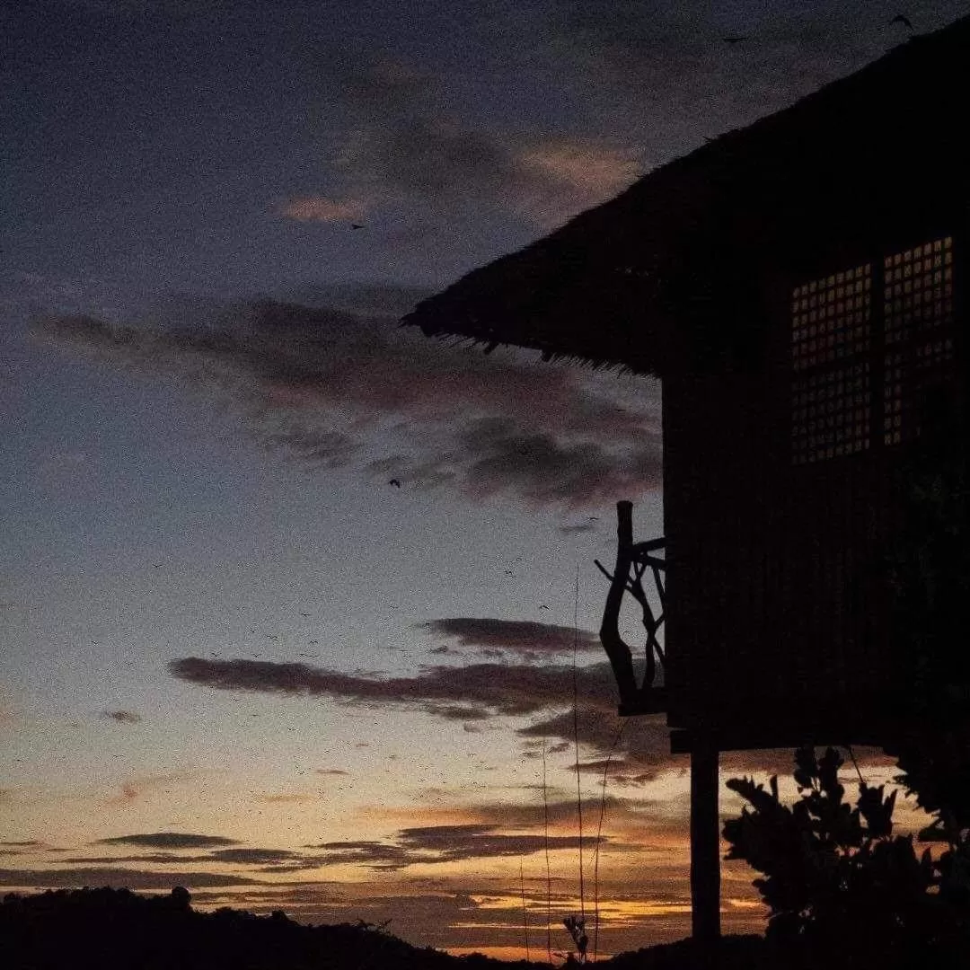 Sanctuaria Treehouses Busuanga