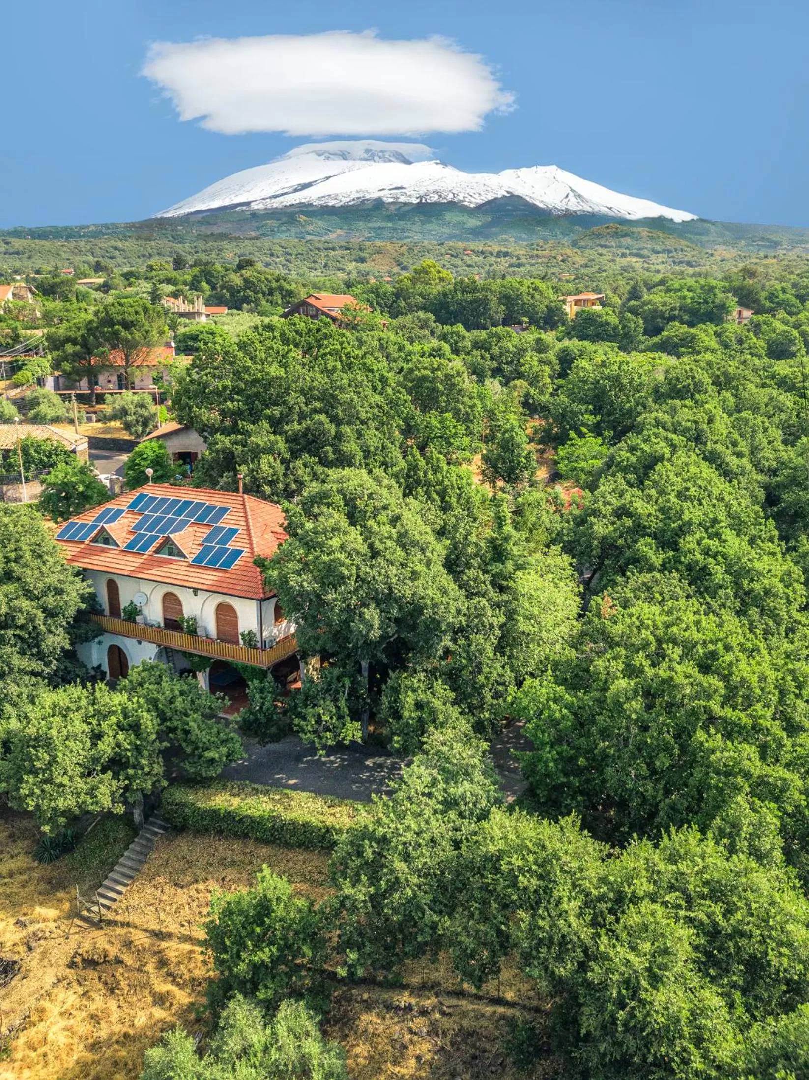 Bird's eye view in Domus Verdiana