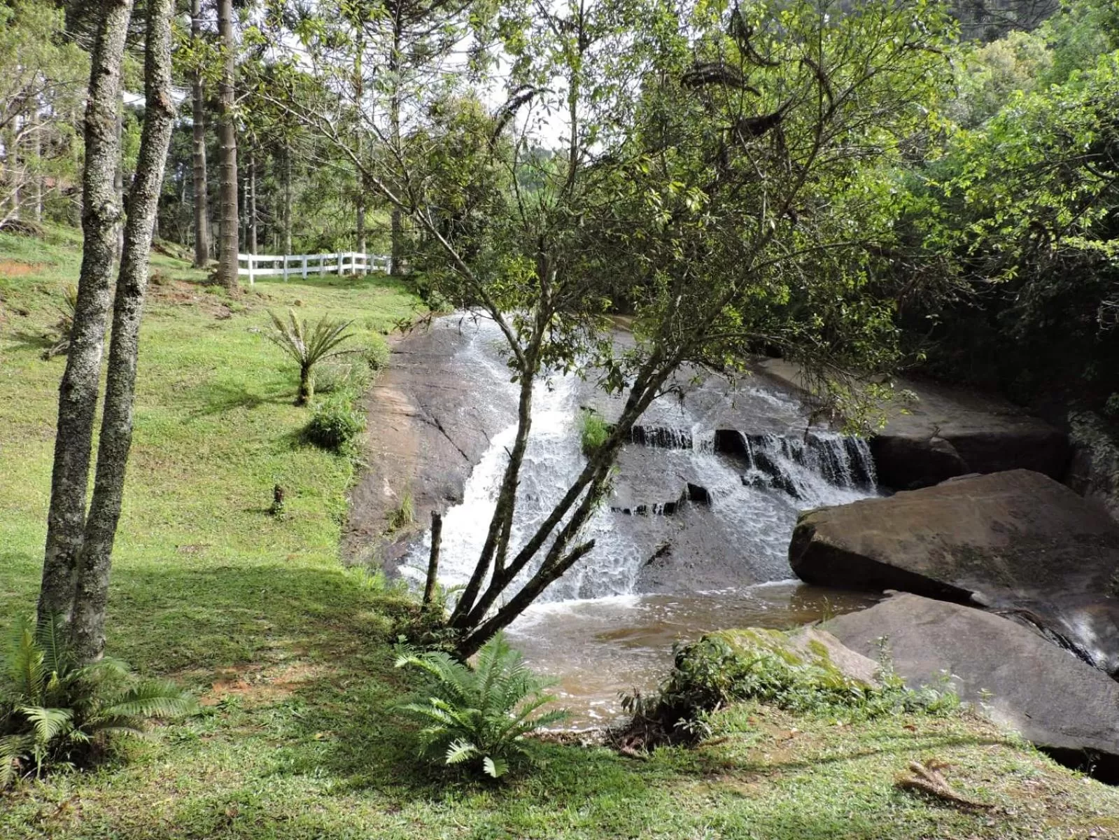 Diving in MD Luar da Montanha